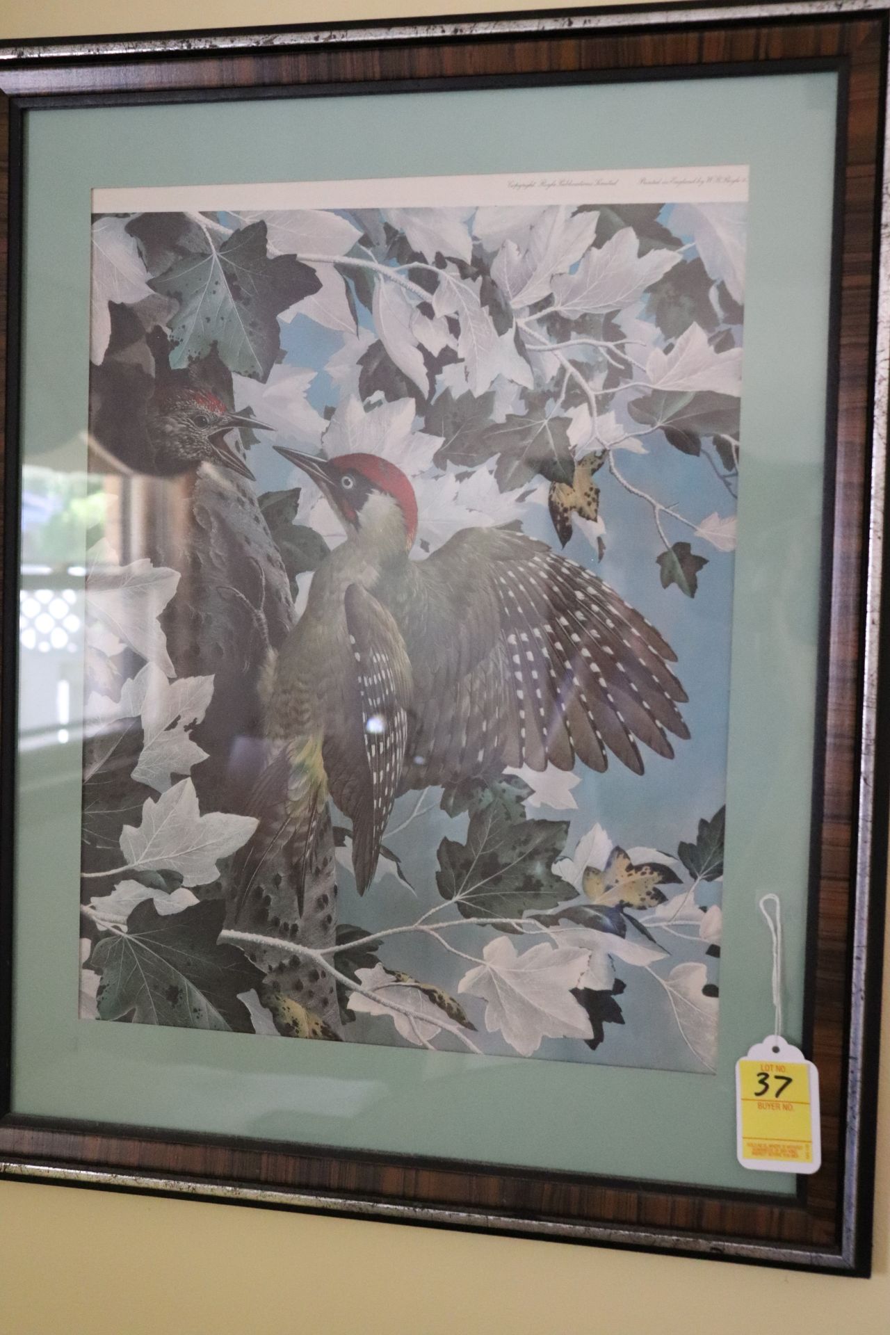 Two framed pictures of birds, approximate size 21" x 25"