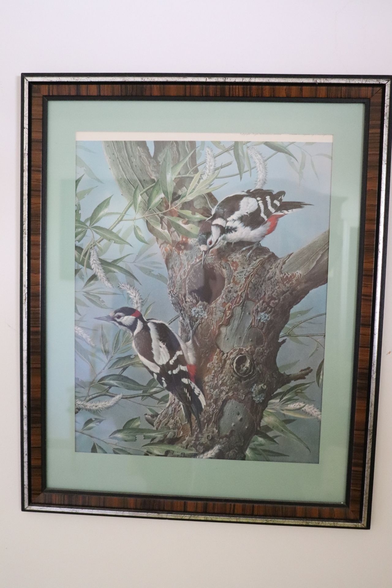 Two framed pictures of birds, approximate size 21" x 25" - Image 2 of 2