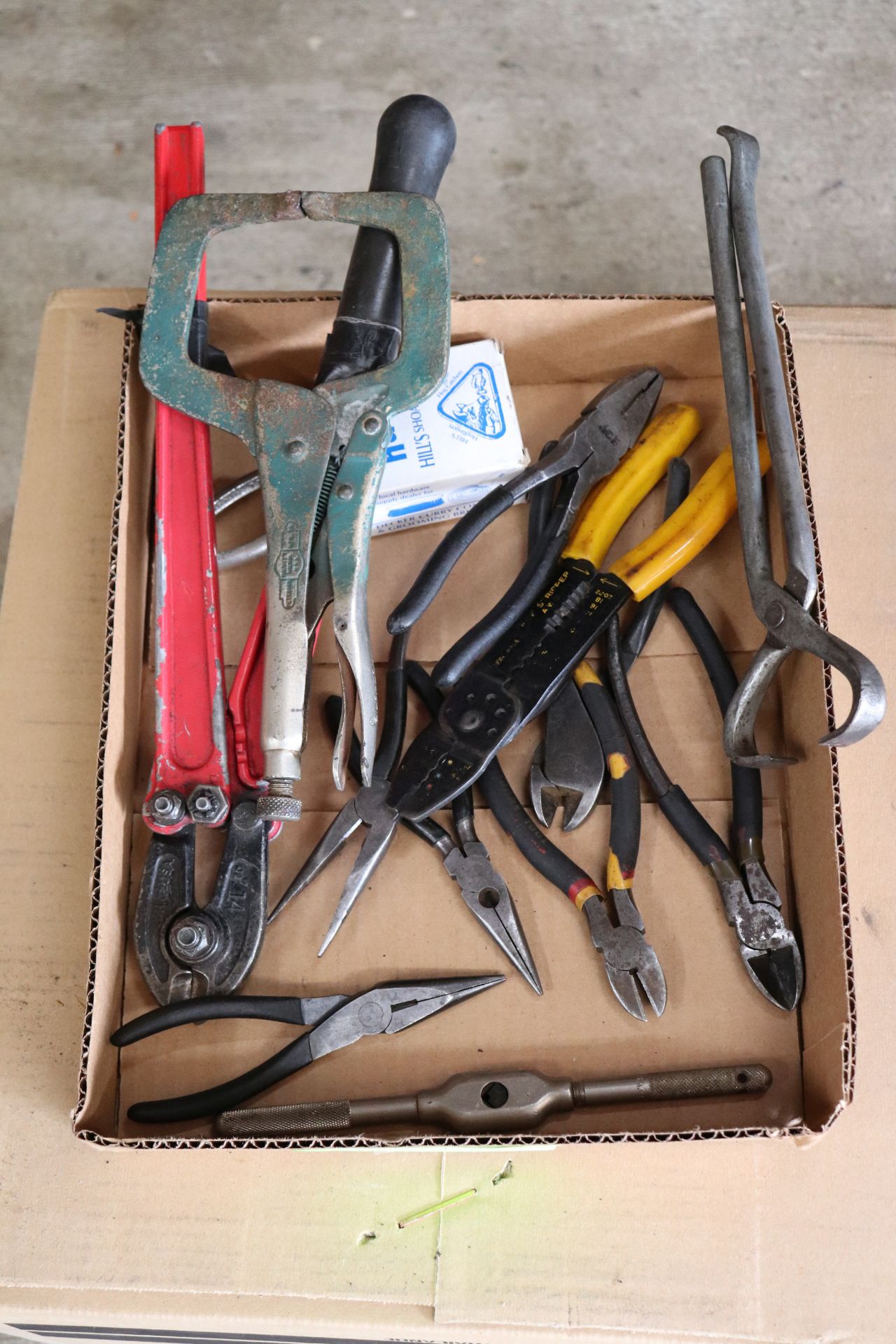 Box lot of bolt cutters, wire strippers, pliers, and vise grips