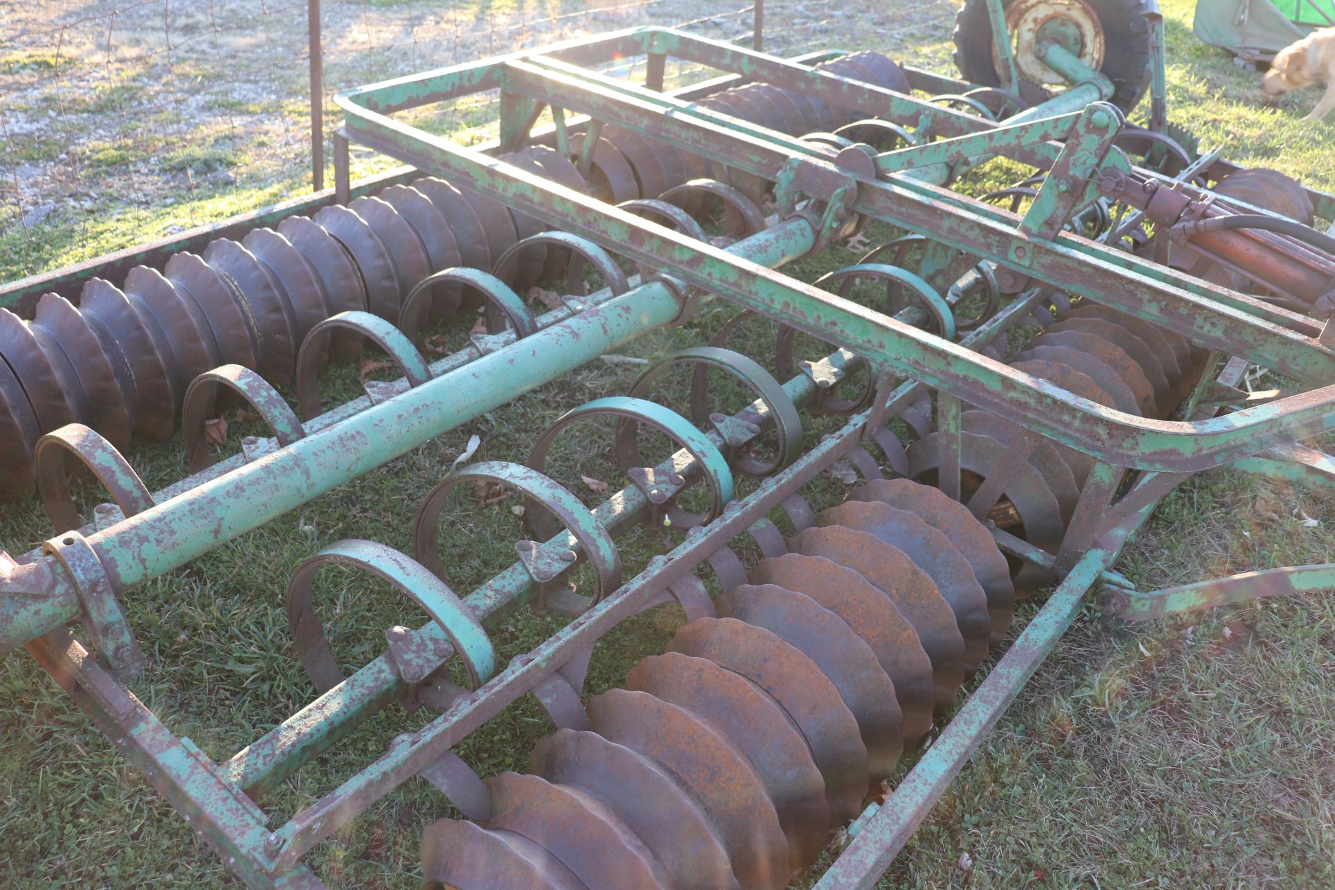 John Deere plow cultivator, 12' wide - Image 2 of 3