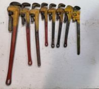 (8) Various Size Pipe Wrenches