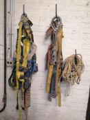 (3) Safety Harnesses, (3) Lanyards & (3) Rebar Positioning Lanyards