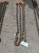 (4) 1/2" USA 4' Chain with hook. Located at 301 E Henry Street, Mt. Pleasant, IA 52641.