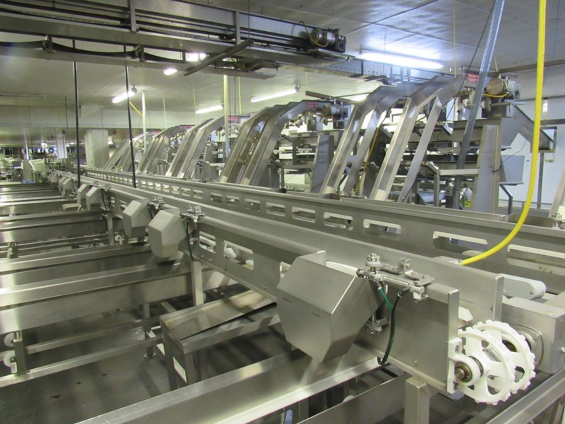 C.A.T. Stainless Steel Grading Line, dual lanes, 10 positions per lane, pneumatic drop chutes, - Image 16 of 22