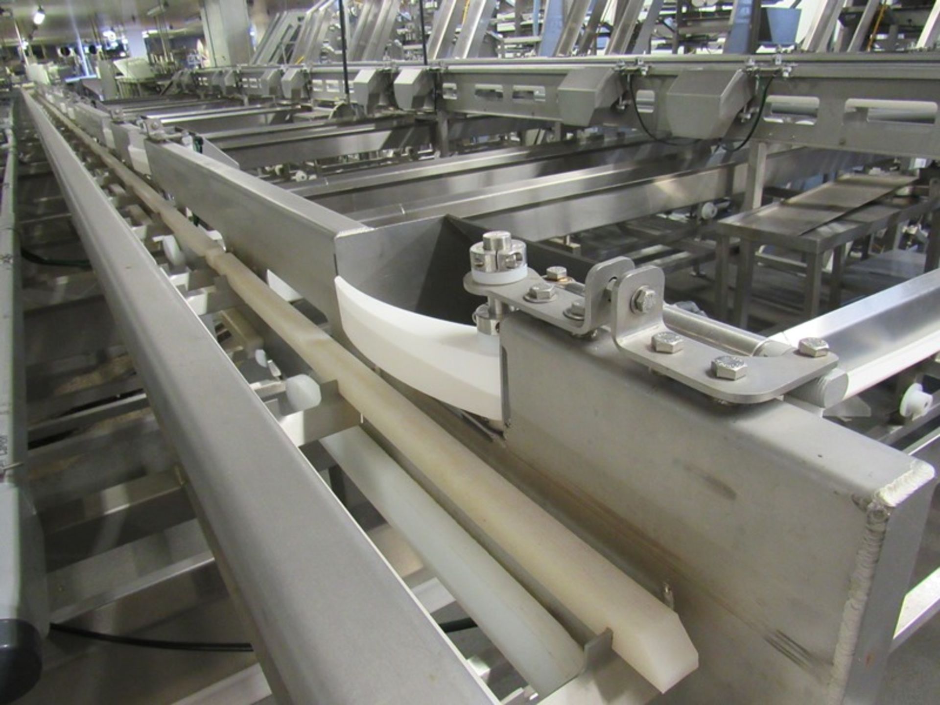 C.A.T. Stainless Steel Grading Line, dual lanes, 10 positions per lane, pneumatic drop chutes, - Image 14 of 15