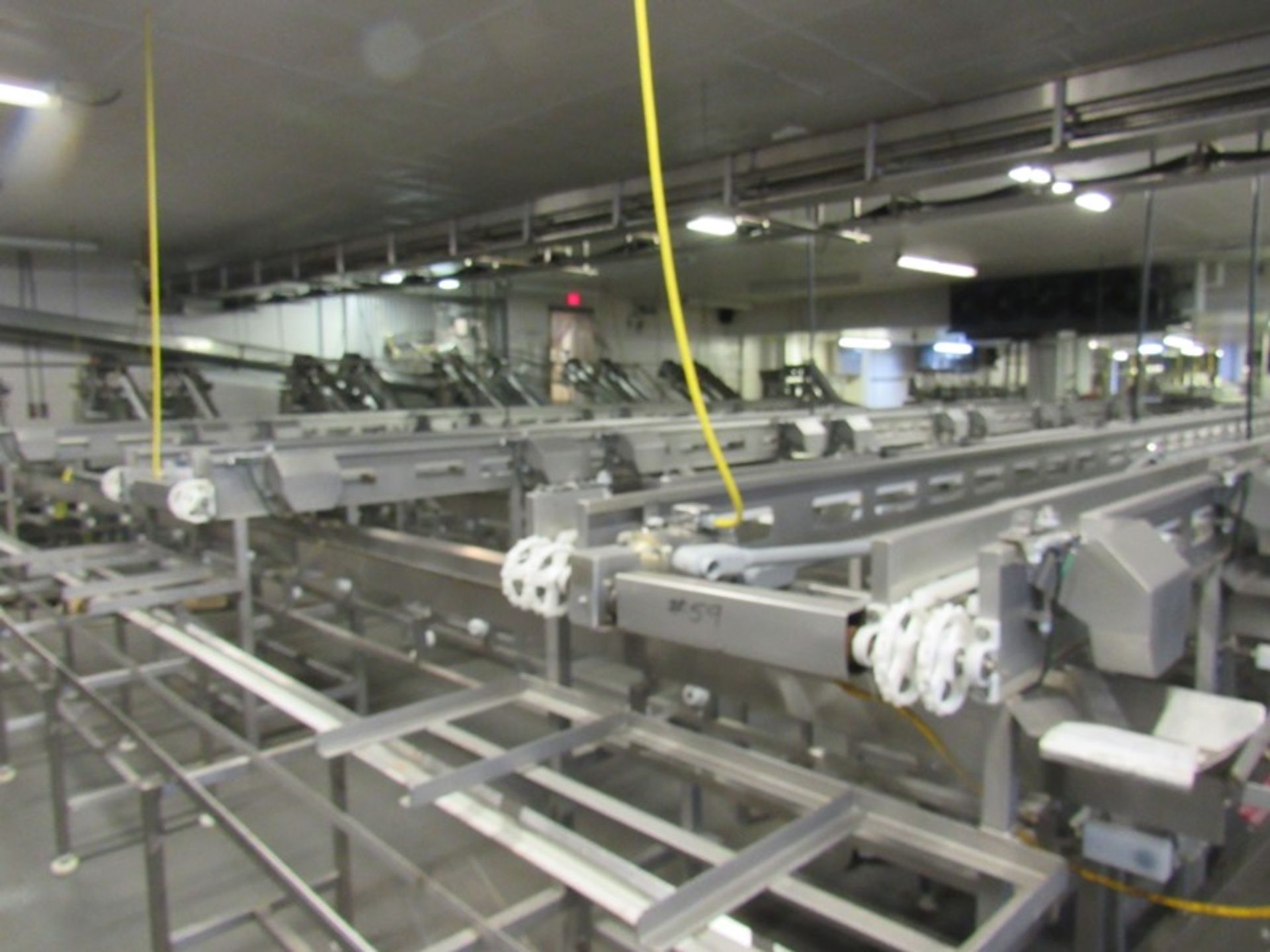 C.A.T. Stainless Steel Grading Line, dual lanes, 10 positions per lane, pneumatic drop chutes, - Image 17 of 22