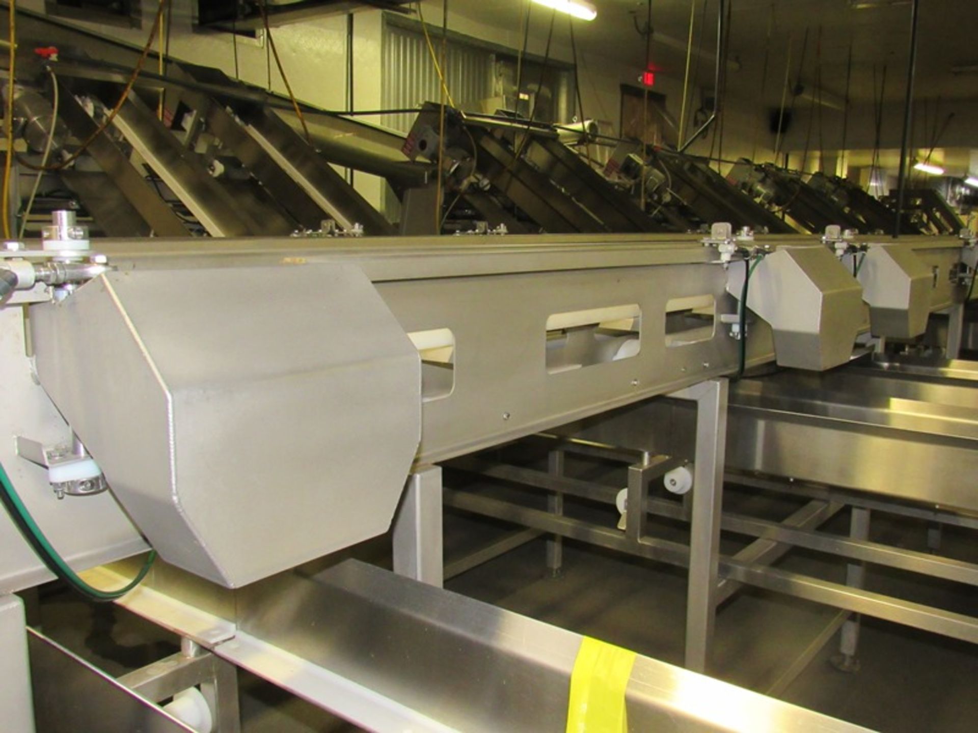 C.A.T. Stainless Steel Grading Line, dual lanes, 10 positions per lane, pneumatic drop chutes, - Image 18 of 18