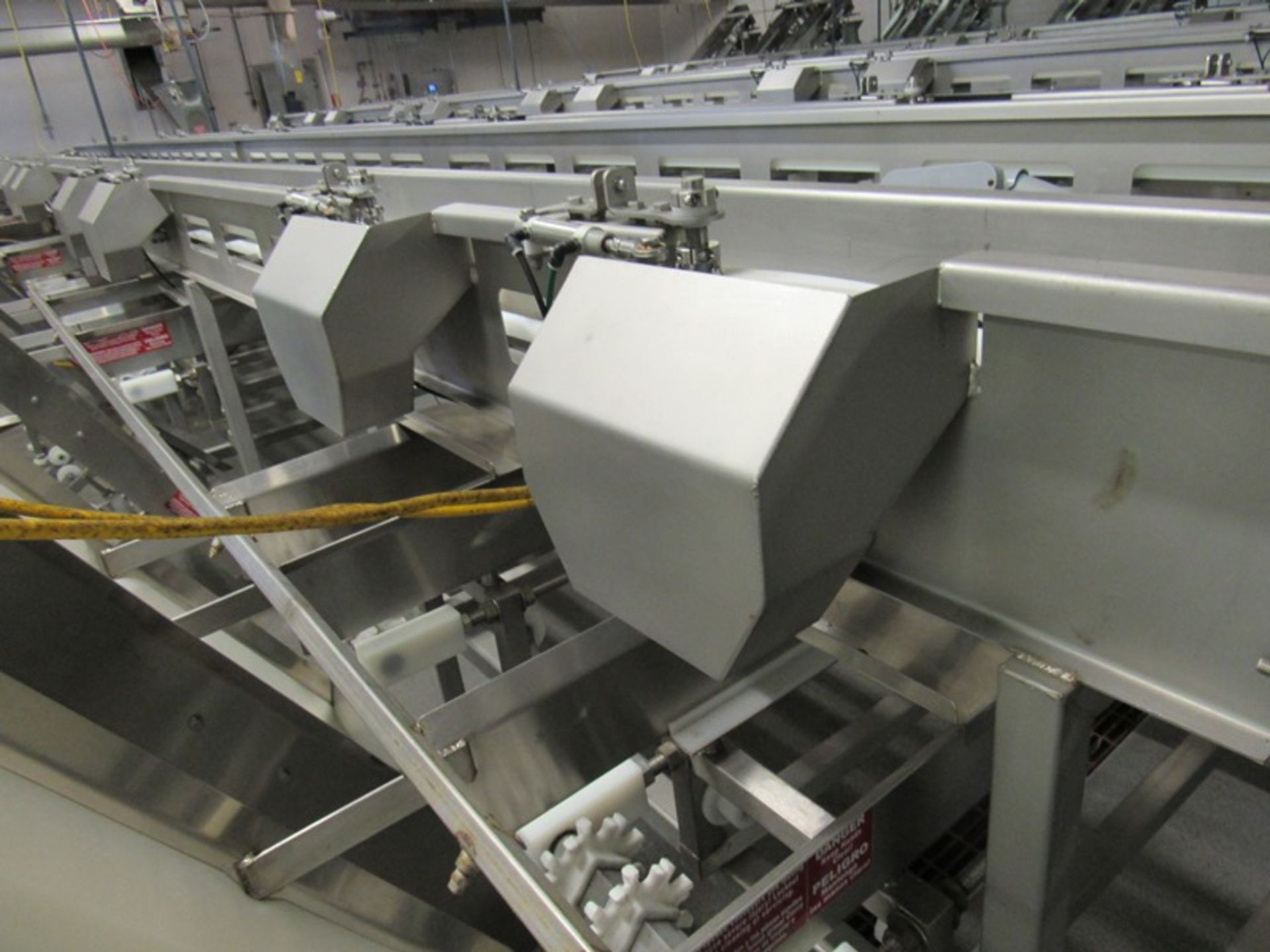 C.A.T. Stainless Steel Grading Line, dual lanes, 10 positions per lane, pneumatic drop chutes, - Image 13 of 22