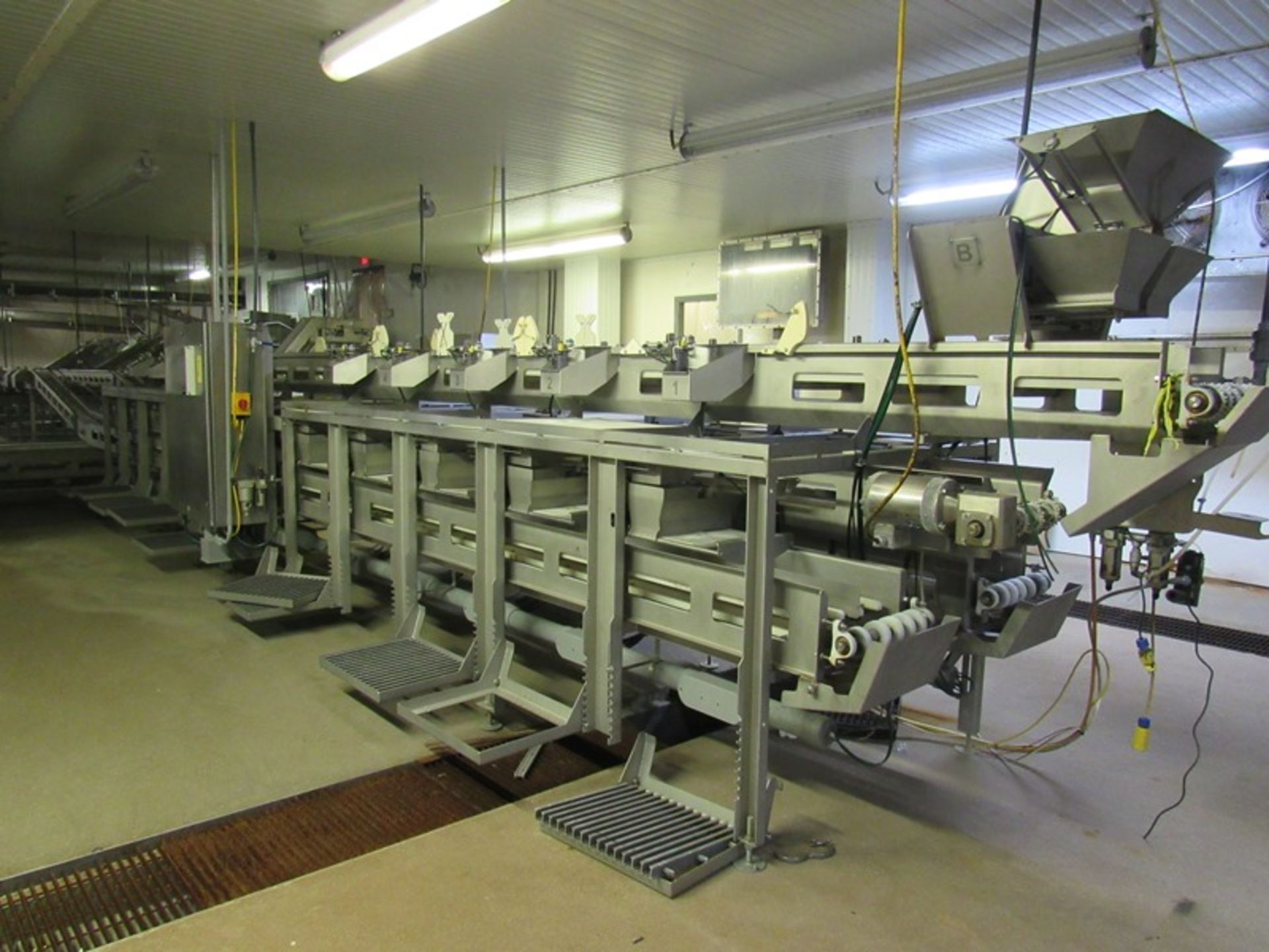 C.A.T. Stainless Steel Grading Line, dual lanes, 10 positions per lane, pneumatic drop chutes,