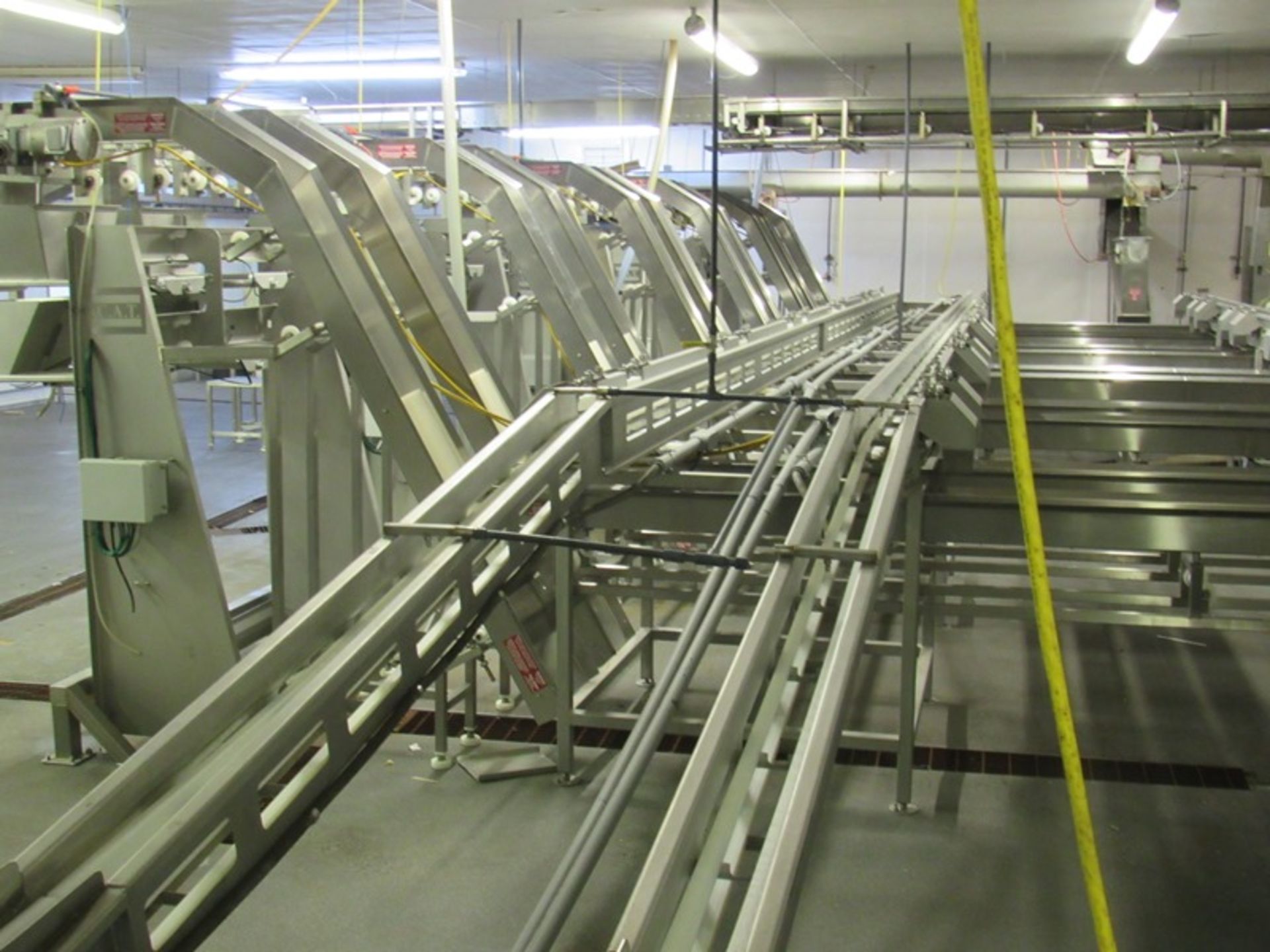 C.A.T. Stainless Steel Grading Line, dual lanes, 10 positions per lane, pneumatic drop chutes, - Image 22 of 22