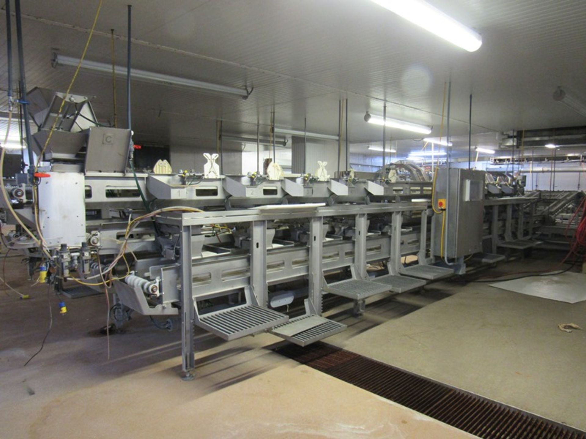 C.A.T. Stainless Steel Grading Line, dual lanes, 10 positions per lane, pneumatic drop chutes, - Image 2 of 15