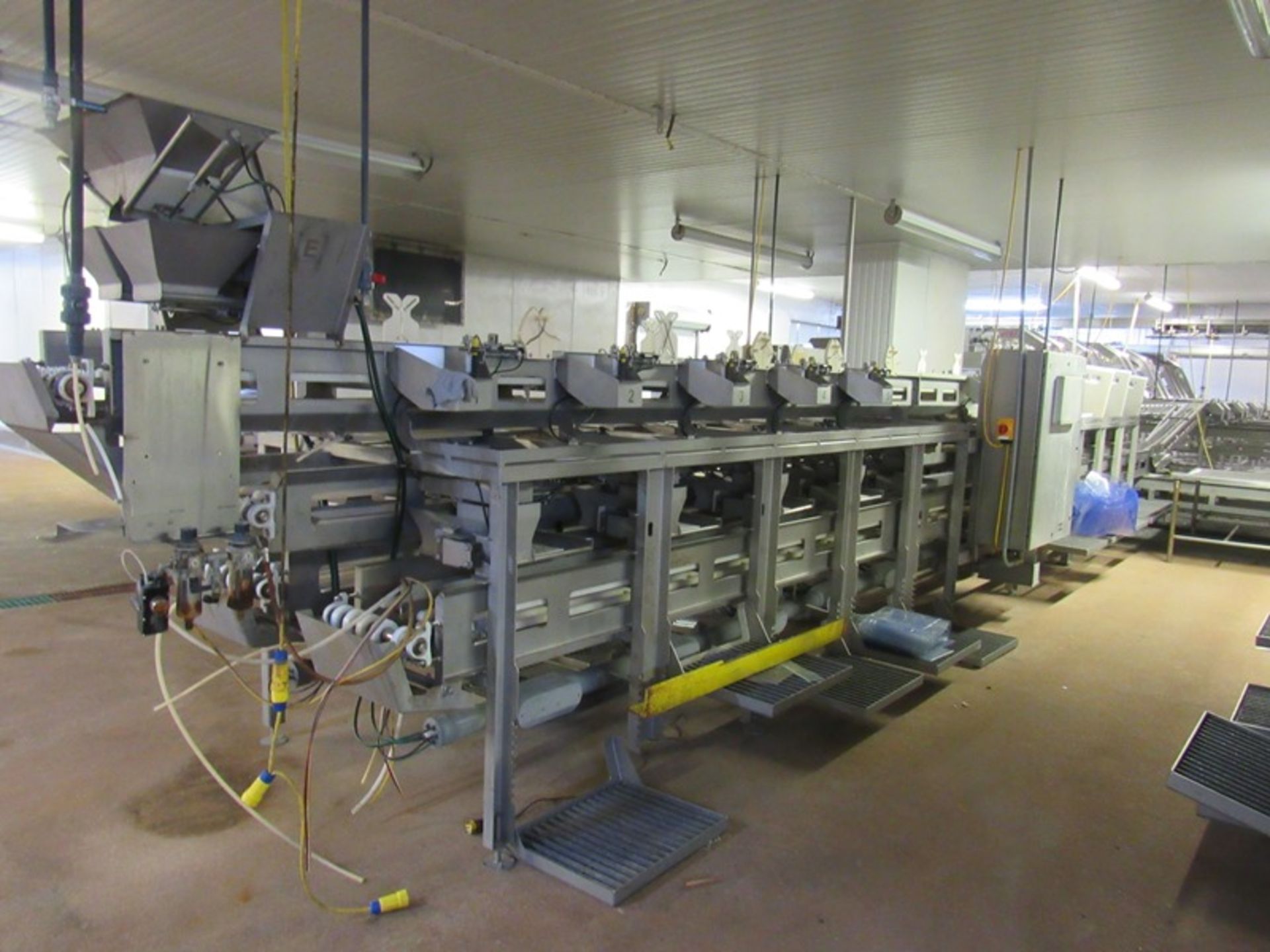 C.A.T. Stainless Steel Grading Line, dual lanes, 10 positions per lane, pneumatic drop chutes, - Image 2 of 22