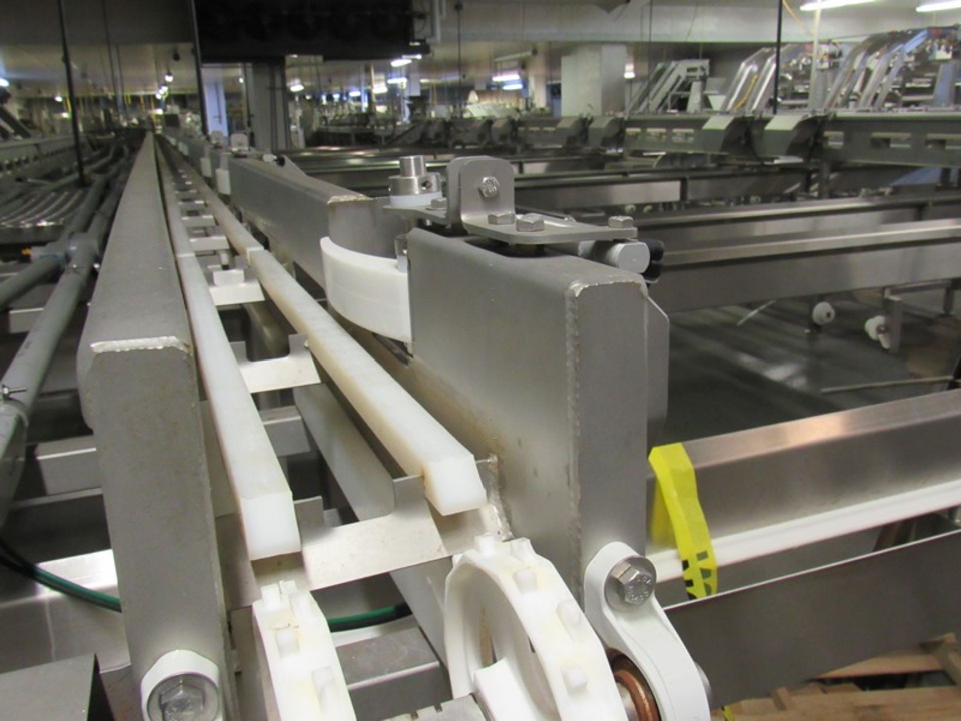 C.A.T. Stainless Steel Grading Line, dual lanes, 10 positions per lane, pneumatic drop chutes, - Image 17 of 18