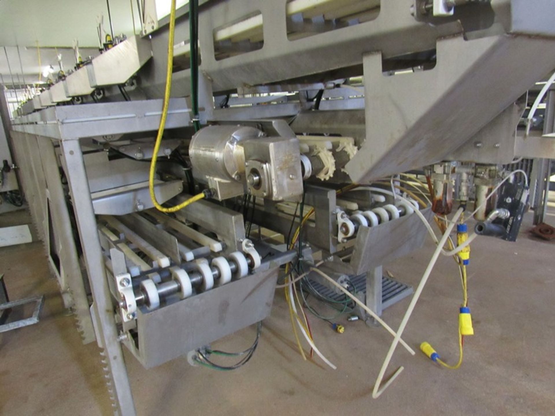 C.A.T. Stainless Steel Grading Line, dual lanes, 10 positions per lane, pneumatic drop chutes, - Image 5 of 22