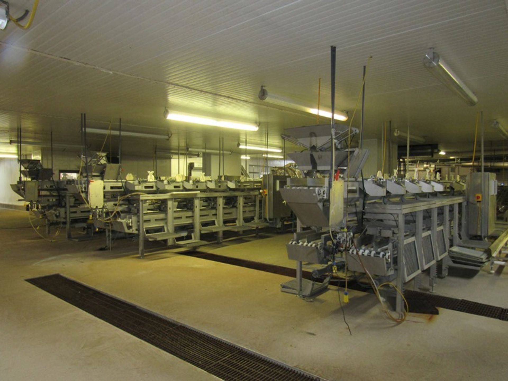 C.A.T. Stainless Steel Grading Line, dual lanes, 10 positions per lane, pneumatic drop chutes, - Image 3 of 18