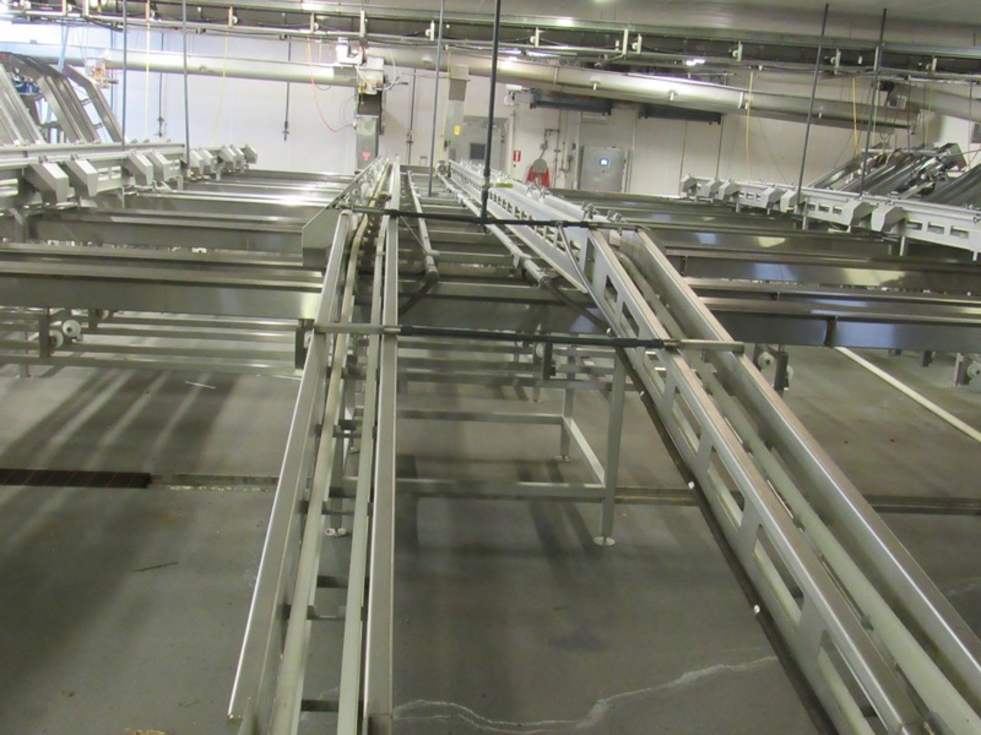 C.A.T. Stainless Steel Grading Line, dual lanes, 10 positions per lane, pneumatic drop chutes, - Image 6 of 15
