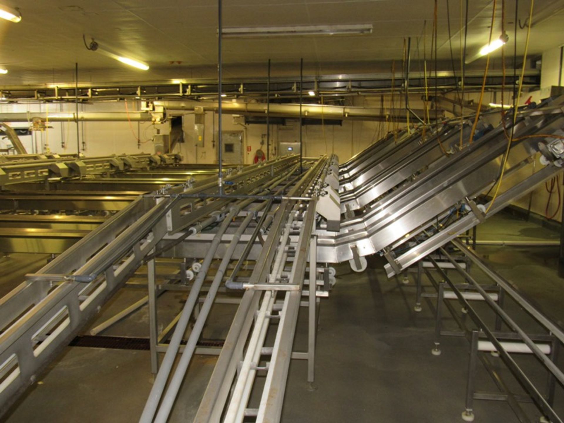 C.A.T. Stainless Steel Grading Line, dual lanes, 10 positions per lane, pneumatic drop chutes, - Image 14 of 18