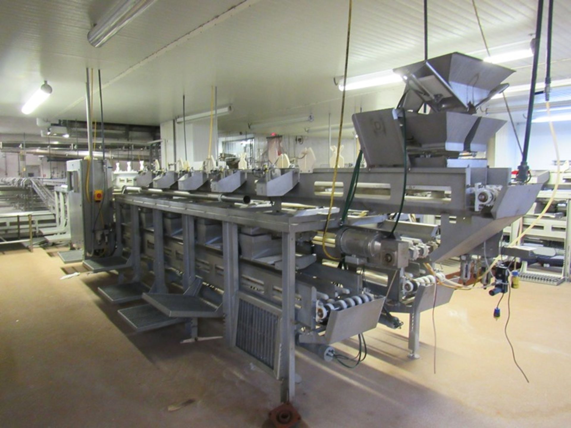 C.A.T. Stainless Steel Grading Line, dual lanes, 10 positions per lane, pneumatic drop chutes,