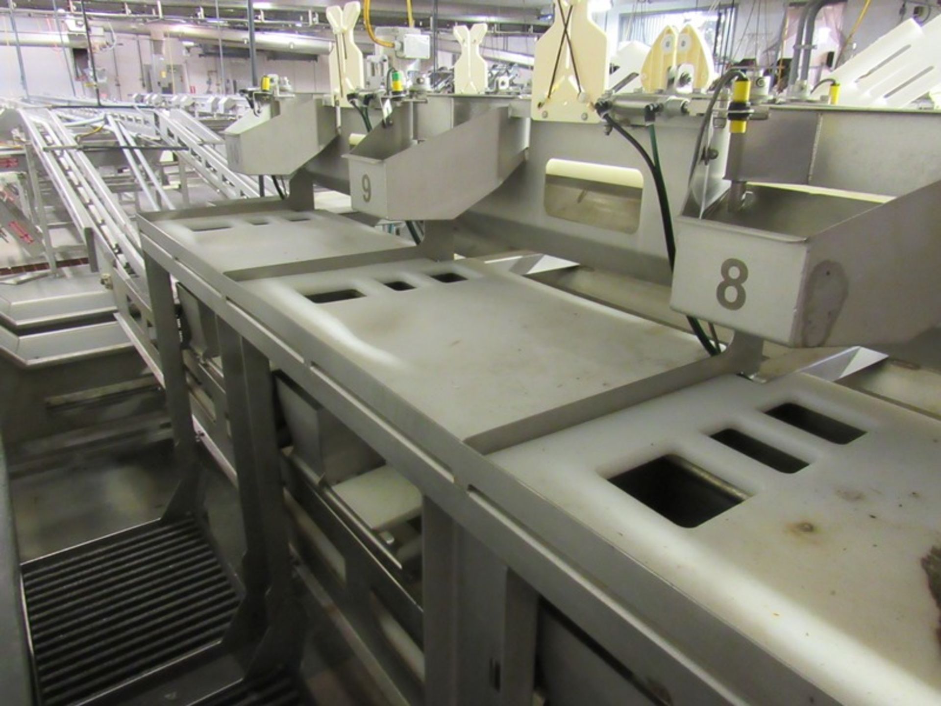 C.A.T. Stainless Steel Grading Line, dual lanes, 10 positions per lane, pneumatic drop chutes, - Image 9 of 22