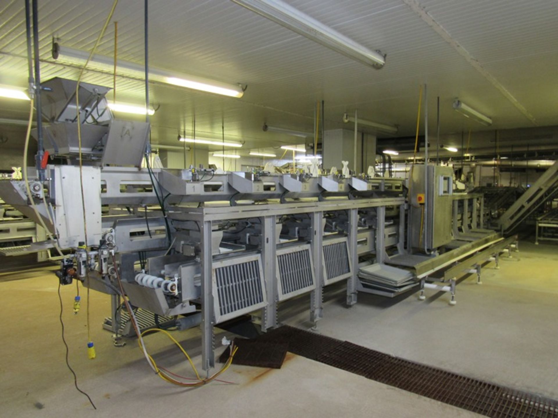 C.A.T. Stainless Steel Grading Line, dual lanes, 10 positions per lane, pneumatic drop chutes, - Image 2 of 18