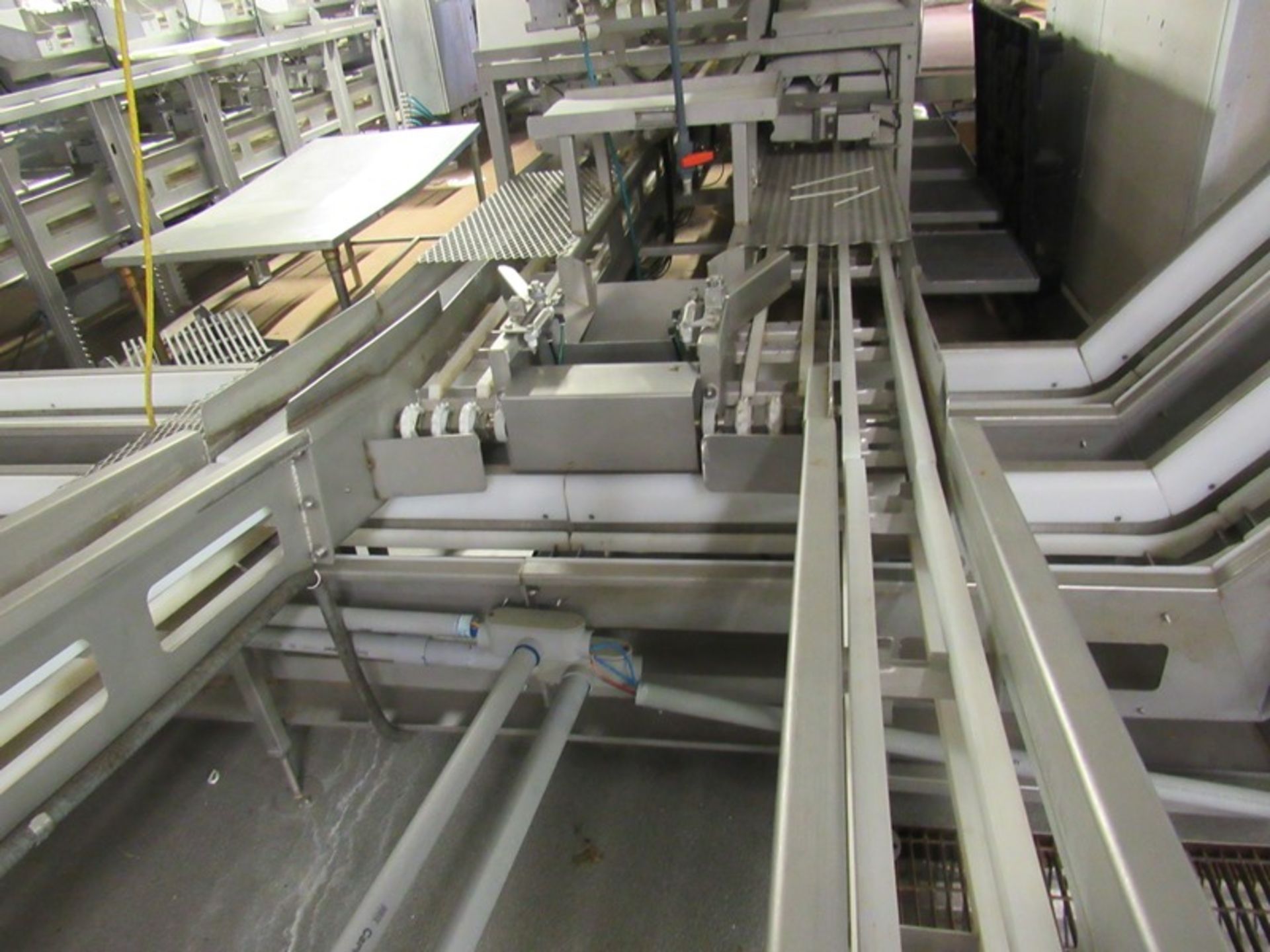 C.A.T. Stainless Steel Grading Line, dual lanes, 10 positions per lane, pneumatic drop chutes, - Image 11 of 22