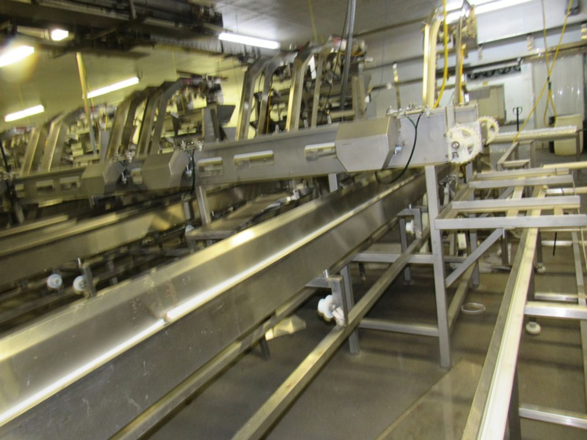 C.A.T. Single Lane Conveyor, 10" W X 48' L with inclined conveyors each side, 10" W X 9' L (no - Image 3 of 5