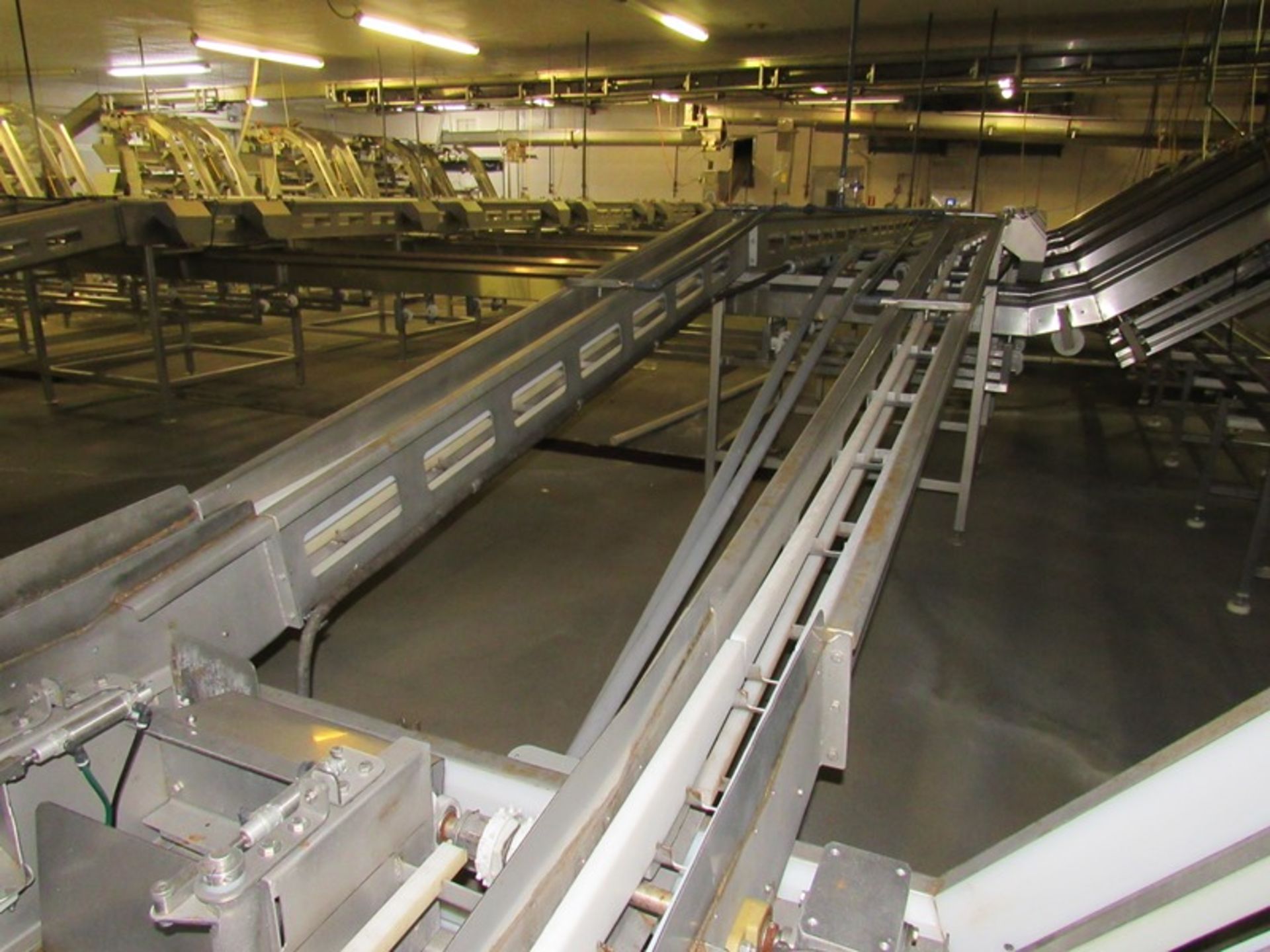 C.A.T. Stainless Steel Grading Line, dual lanes, 10 positions per lane, pneumatic drop chutes, - Image 13 of 18