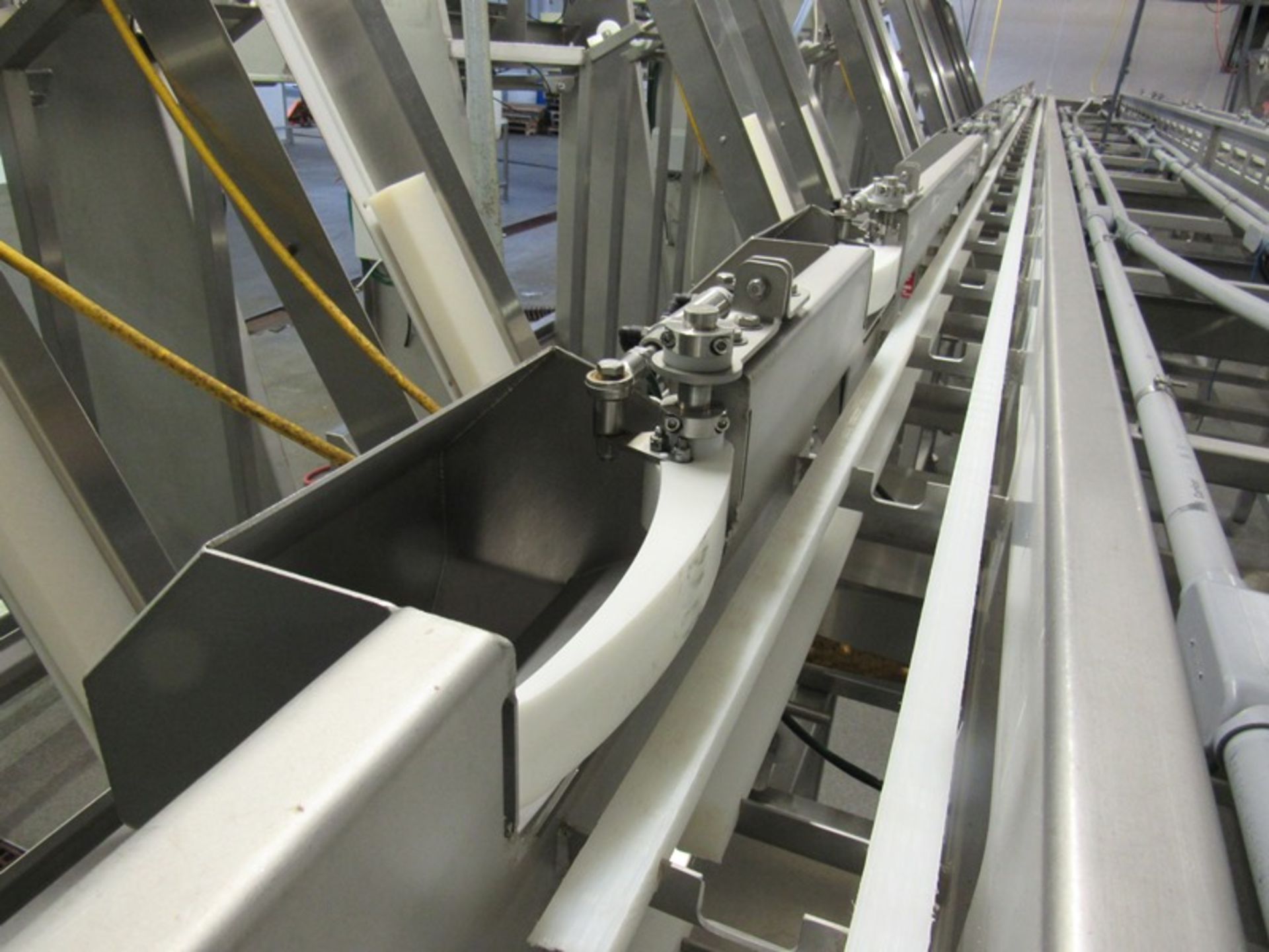 C.A.T. Stainless Steel Grading Line, dual lanes, 10 positions per lane, pneumatic drop chutes, - Image 14 of 22