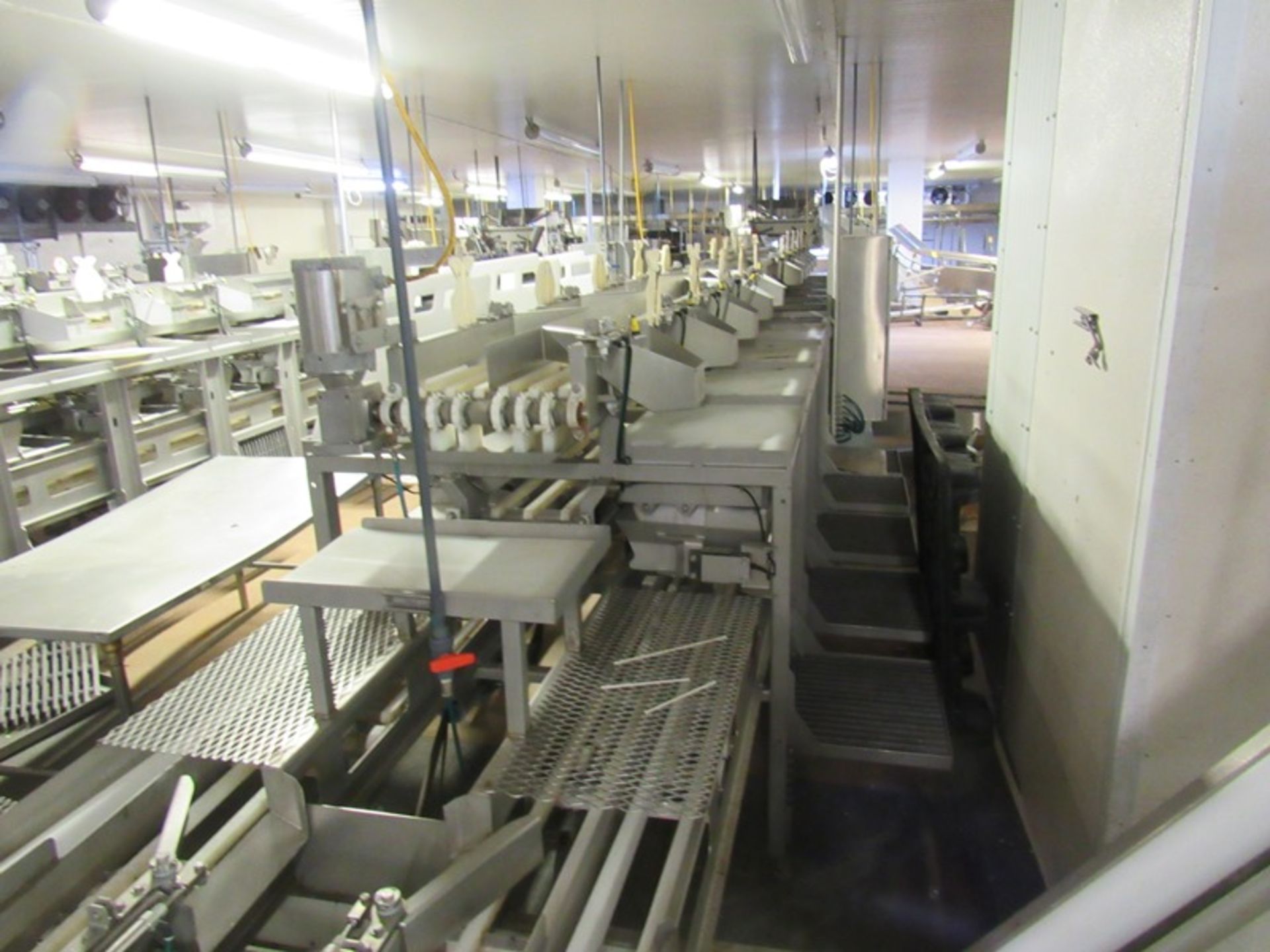 C.A.T. Stainless Steel Grading Line, dual lanes, 10 positions per lane, pneumatic drop chutes, - Image 10 of 22