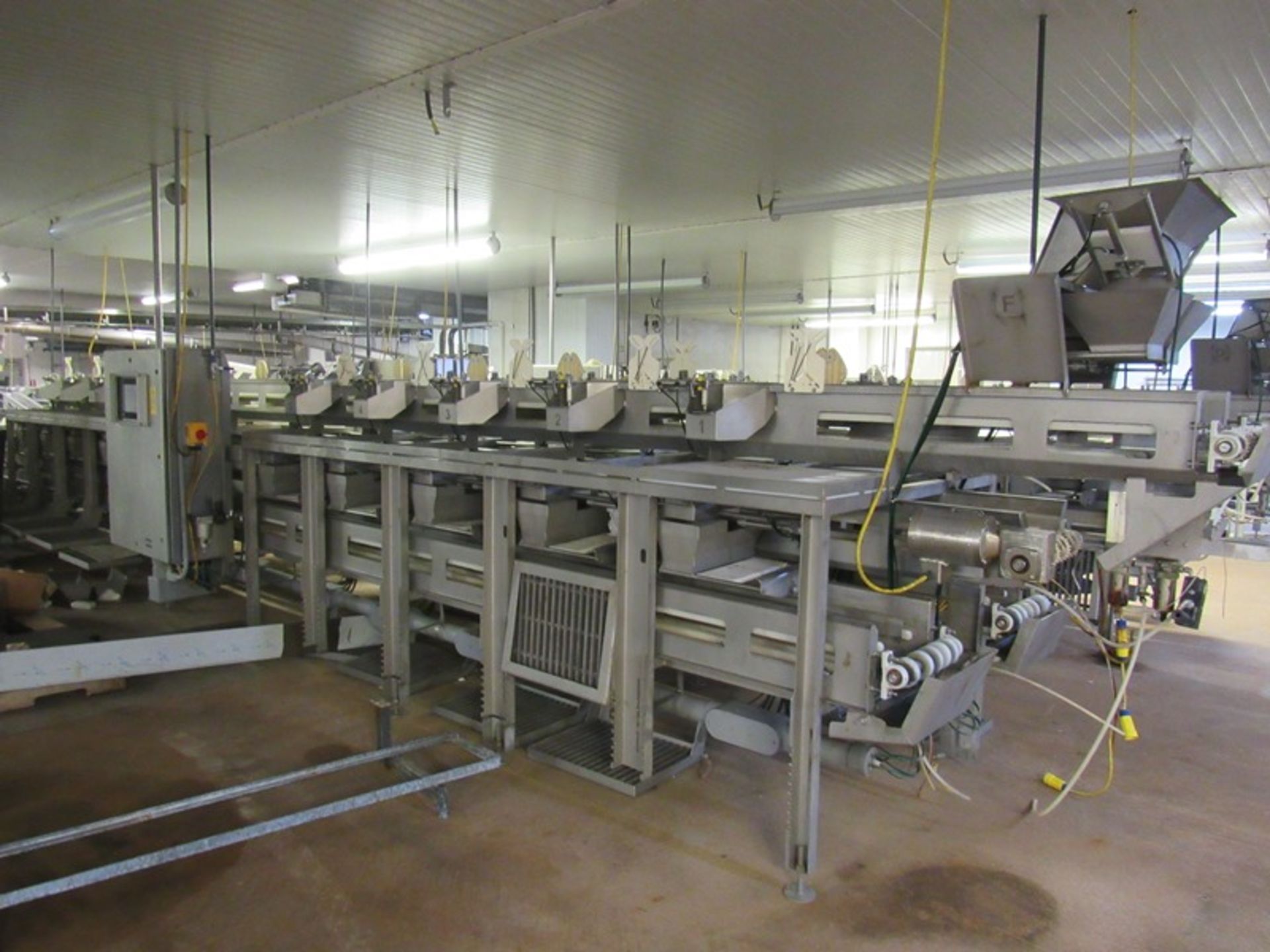 C.A.T. Stainless Steel Grading Line, dual lanes, 10 positions per lane, pneumatic drop chutes,