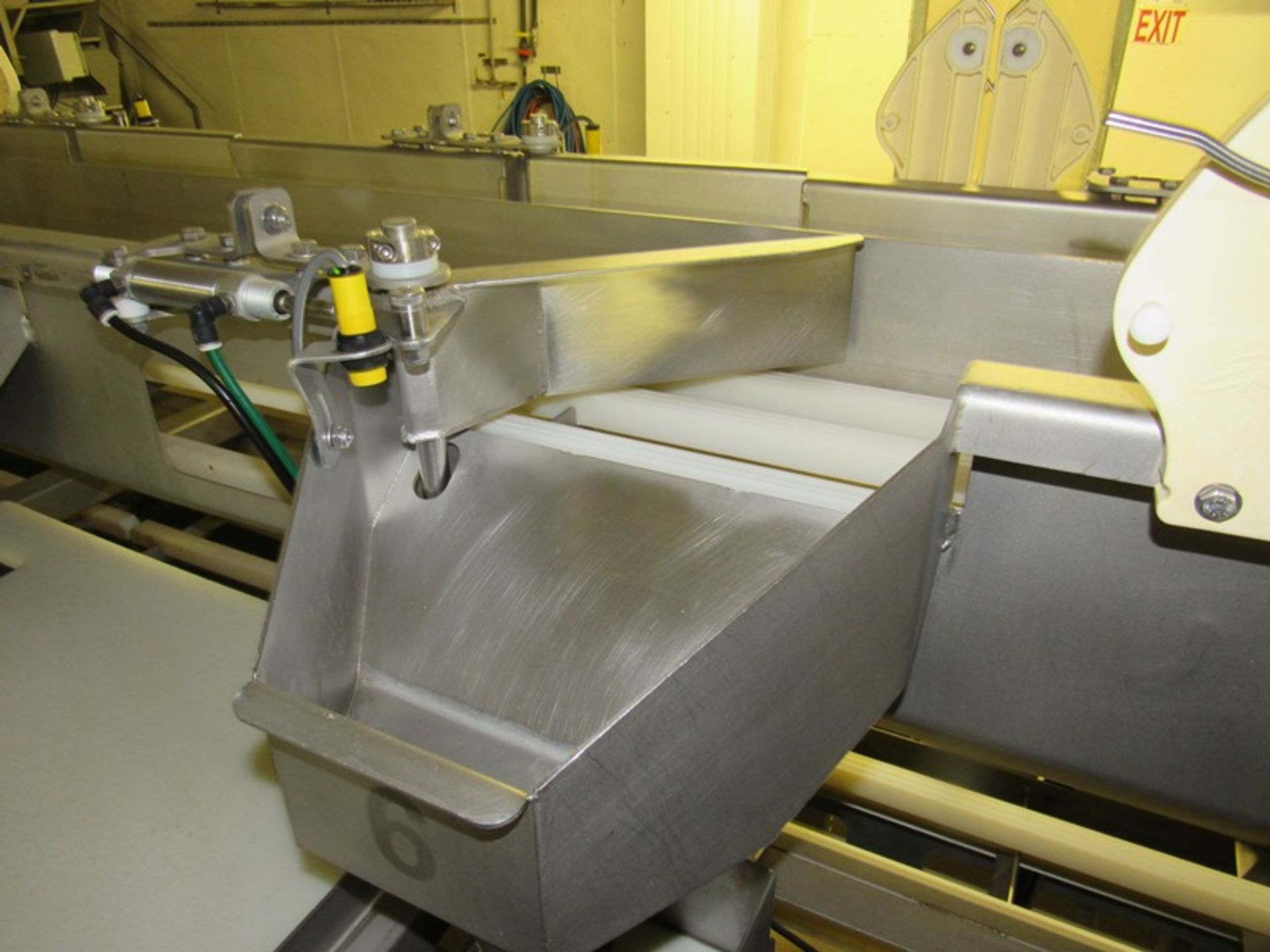 C.A.T. Stainless Steel Grading Line, dual lanes, 10 positions per lane, pneumatic drop chutes, - Image 6 of 18