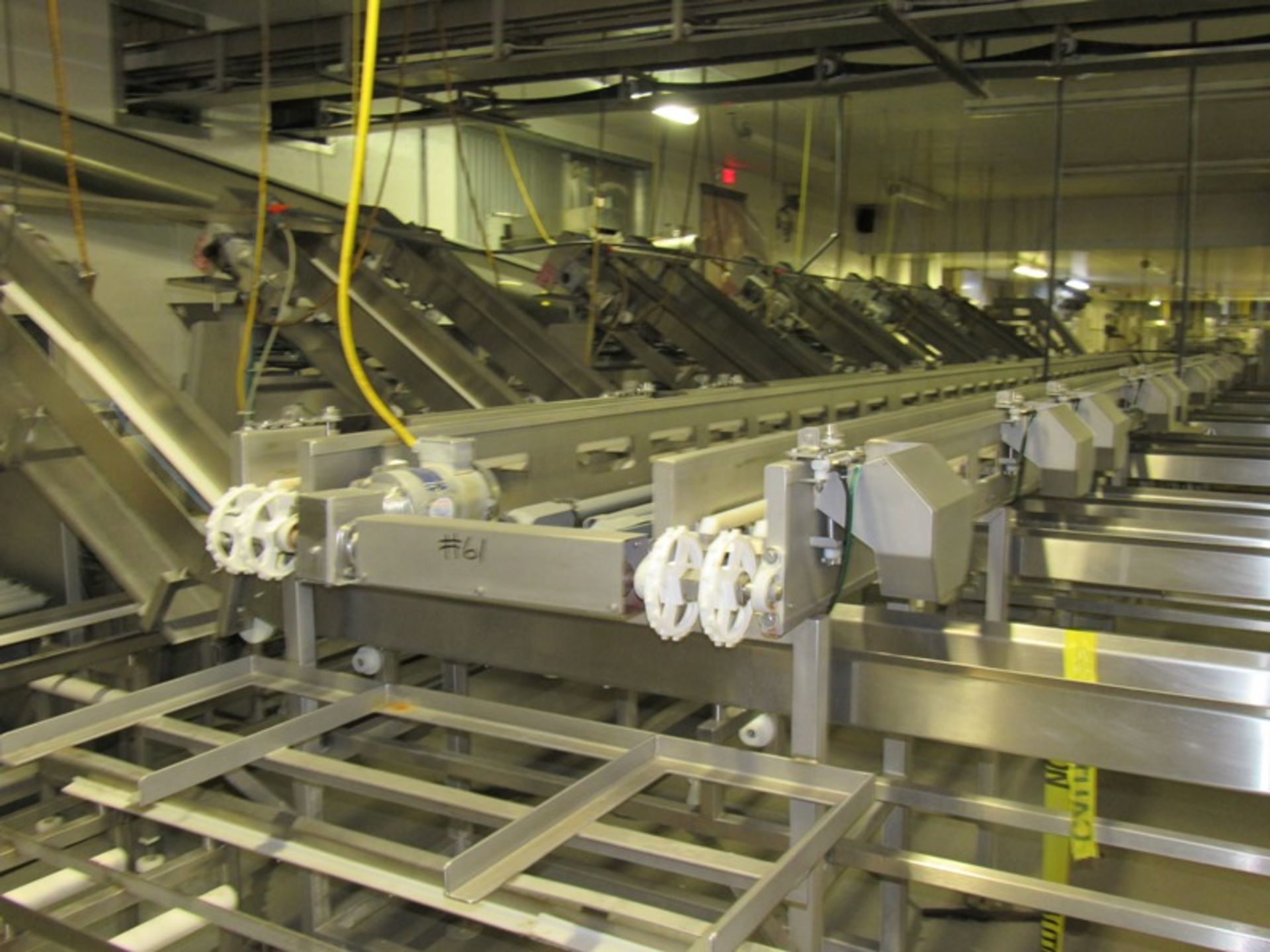 C.A.T. Stainless Steel Grading Line, dual lanes, 10 positions per lane, pneumatic drop chutes, - Image 16 of 18