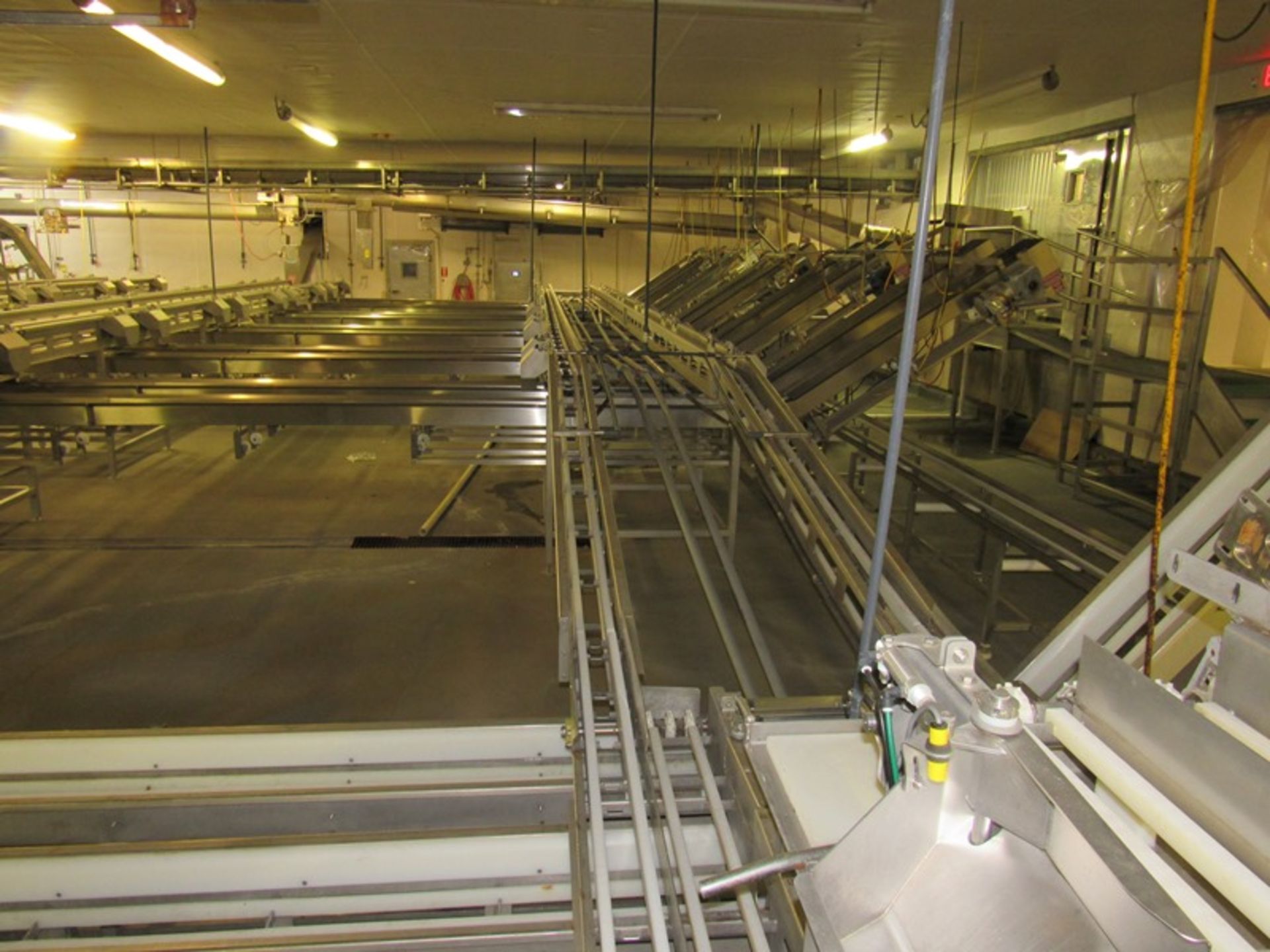 C.A.T. Stainless Steel Grading Line, dual lanes, 10 positions per lane, pneumatic drop chutes, - Image 7 of 18