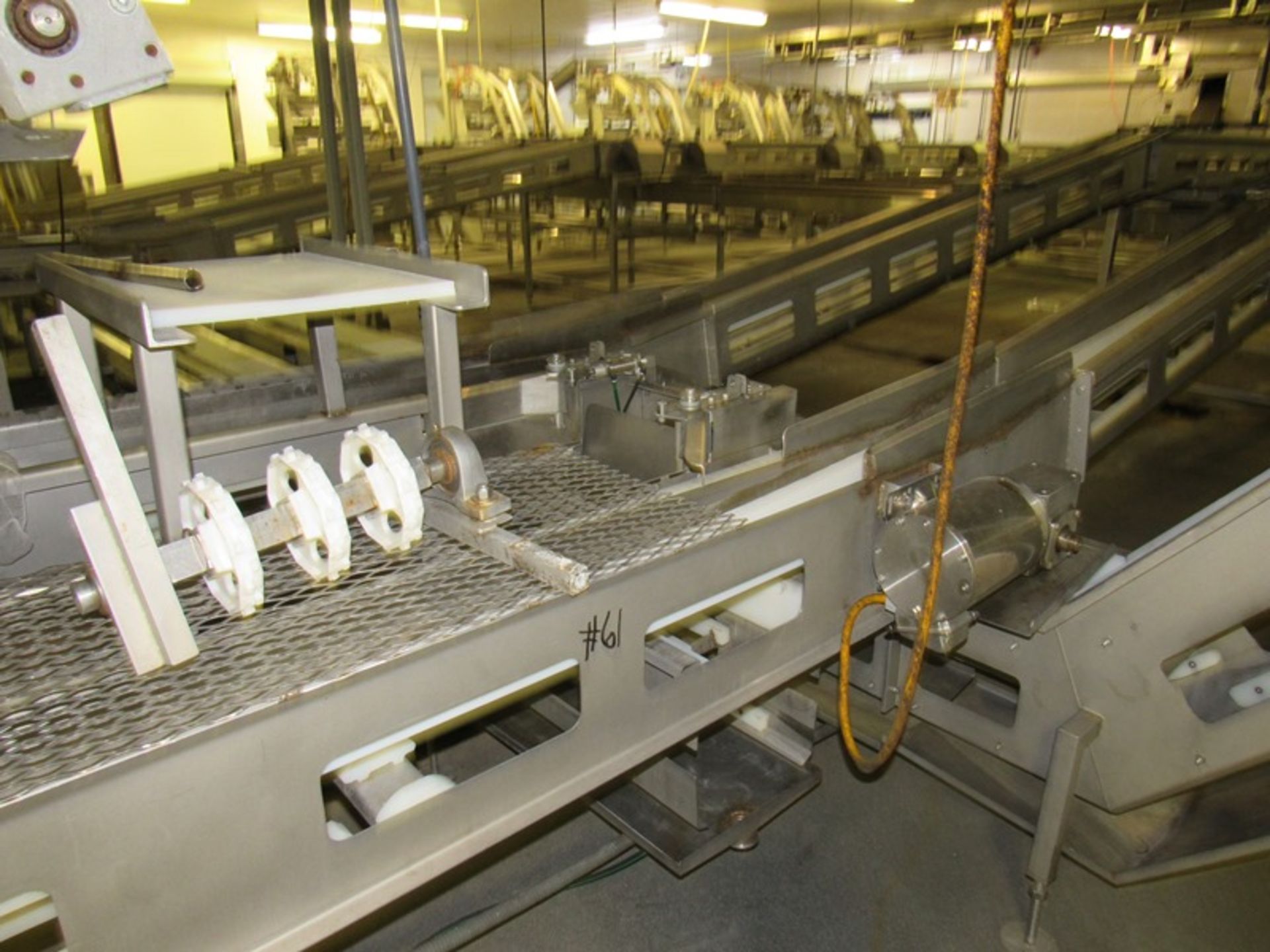 C.A.T. Stainless Steel Grading Line, dual lanes, 10 positions per lane, pneumatic drop chutes, - Image 12 of 18