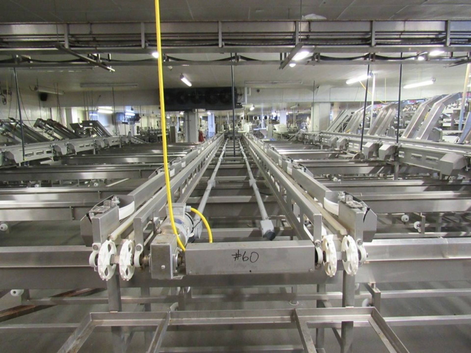 C.A.T. Stainless Steel Grading Line, dual lanes, 10 positions per lane, pneumatic drop chutes, - Image 13 of 15