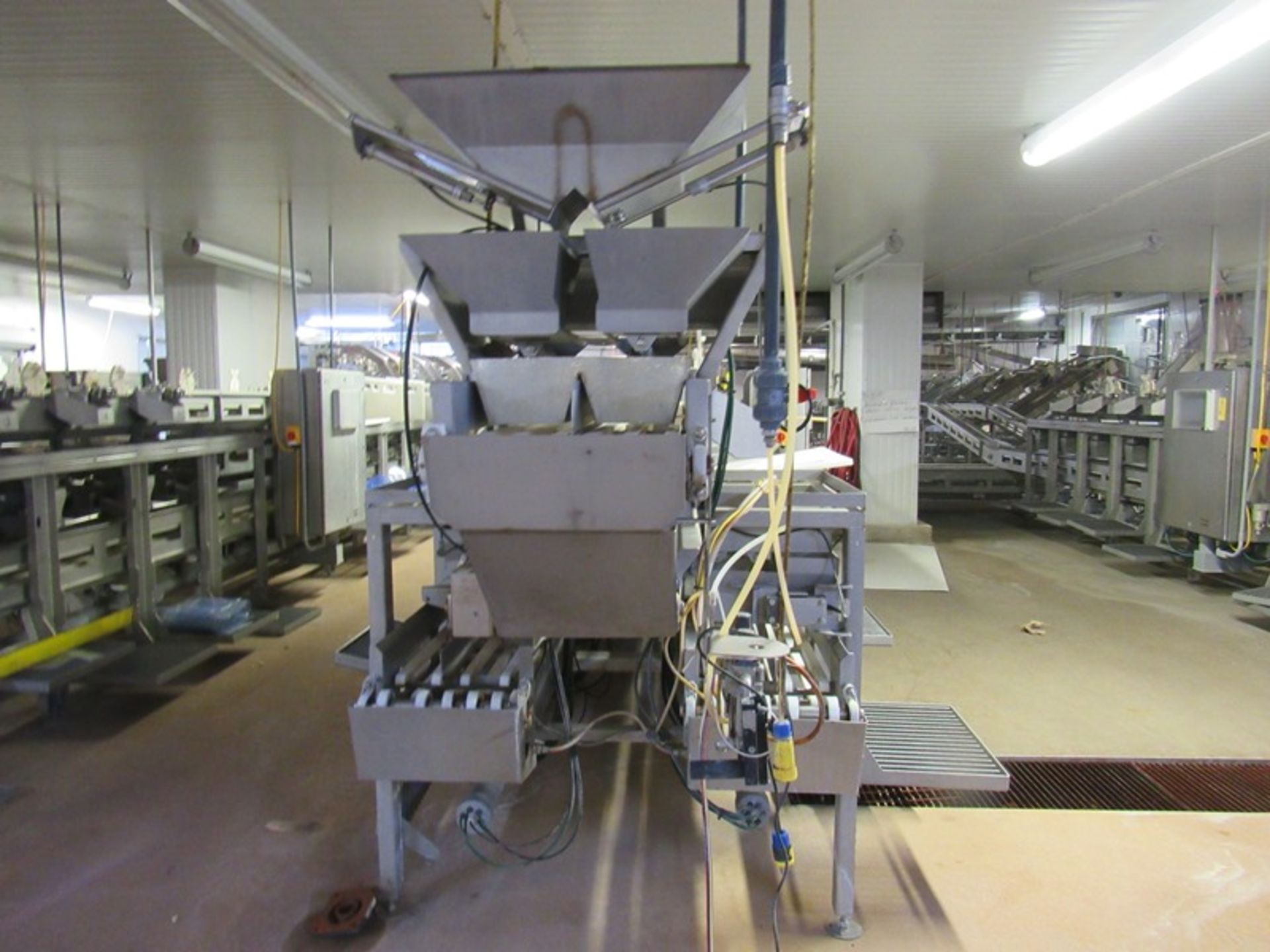 C.A.T. Stainless Steel Grading Line, dual lanes, 10 positions per lane, pneumatic drop chutes, - Image 3 of 15