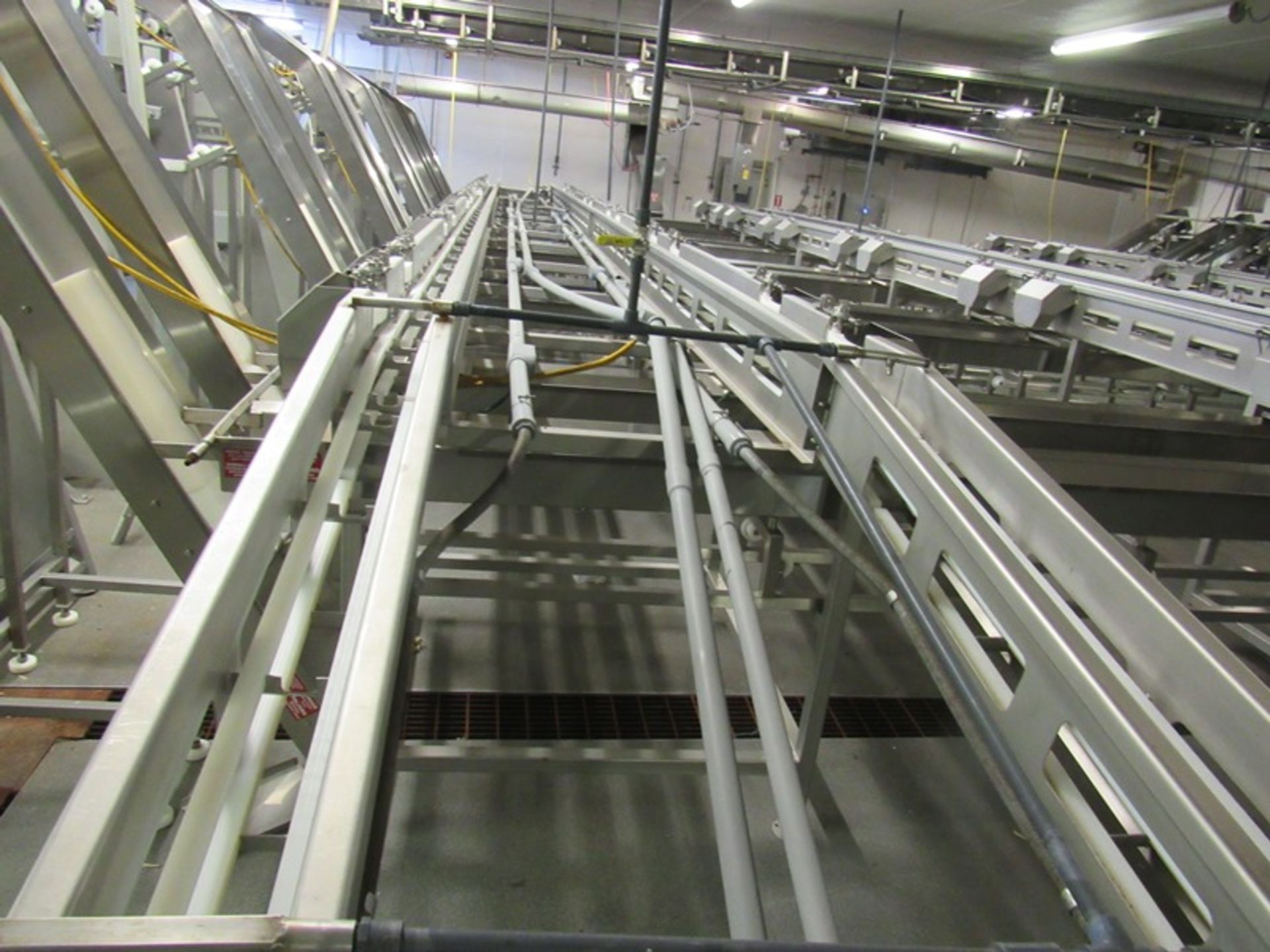 C.A.T. Stainless Steel Grading Line, dual lanes, 10 positions per lane, pneumatic drop chutes, - Image 12 of 22