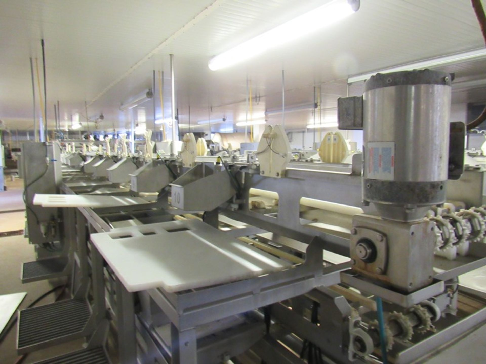 C.A.T. Stainless Steel Grading Line, dual lanes, 10 positions per lane, pneumatic drop chutes, - Image 12 of 15