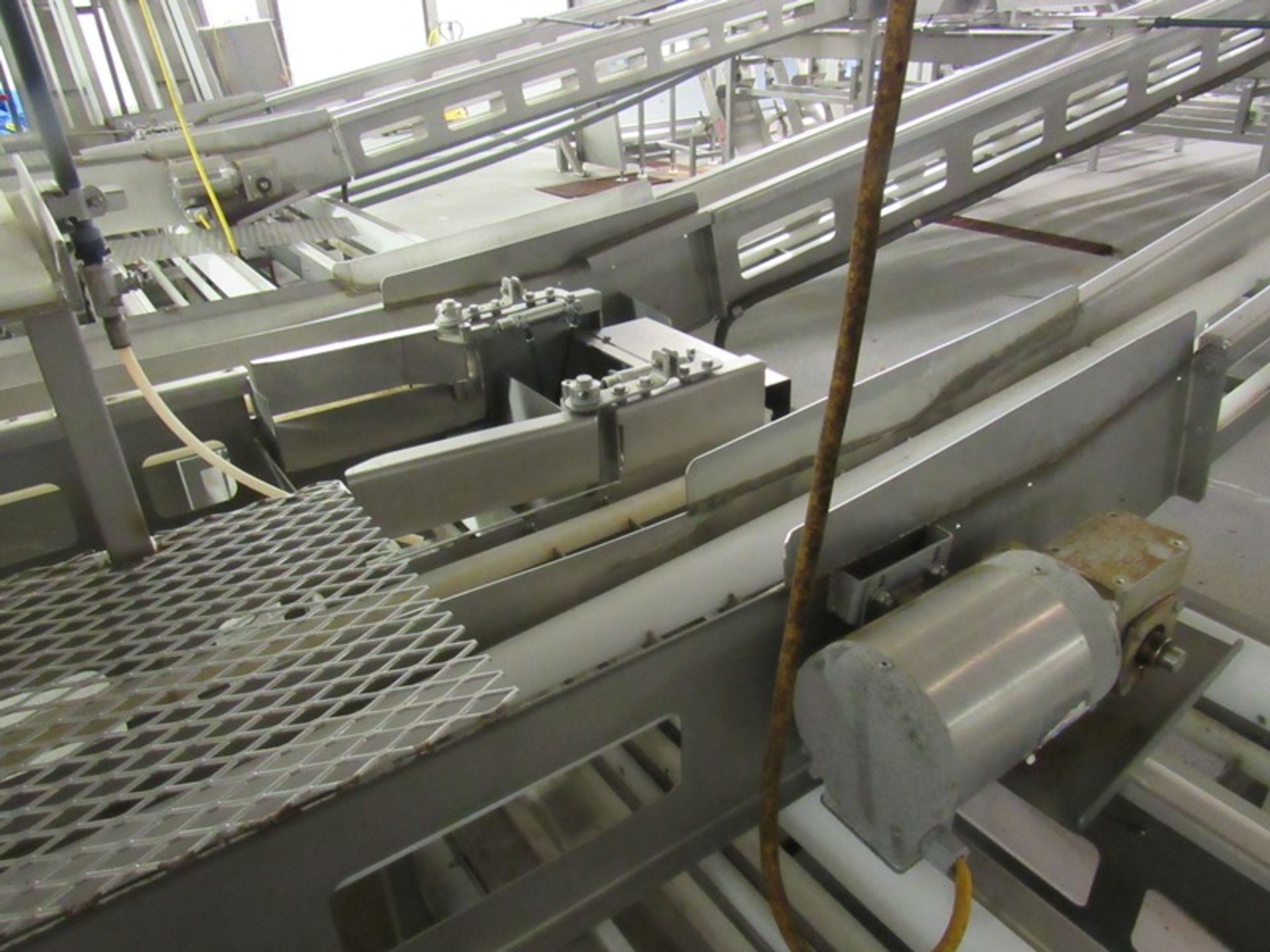 C.A.T. Stainless Steel Grading Line, dual lanes, 10 positions per lane, pneumatic drop chutes, - Image 11 of 15