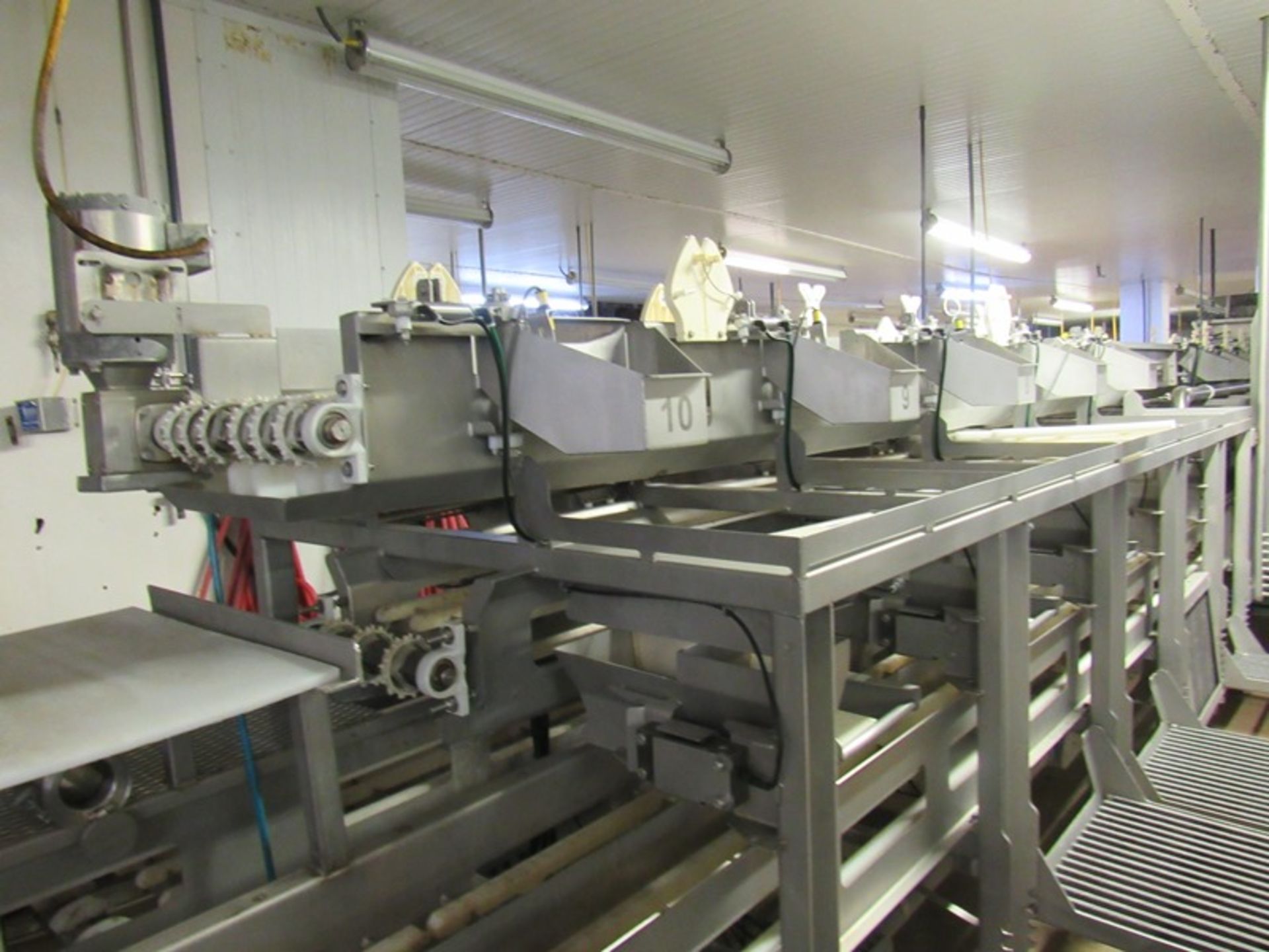 C.A.T. Stainless Steel Grading Line, dual lanes, 10 positions per lane, pneumatic drop chutes, - Image 5 of 15