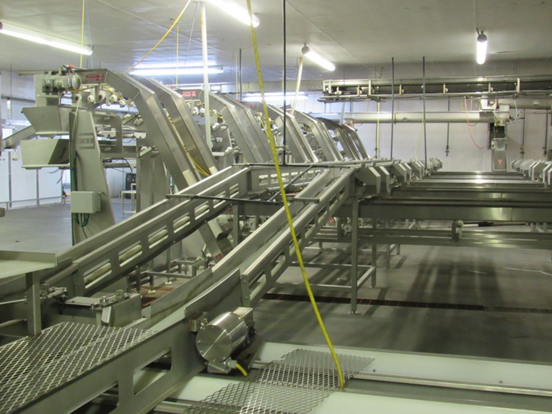 C.A.T. Stainless Steel Grading Line, dual lanes, 10 positions per lane, pneumatic drop chutes, - Image 21 of 22