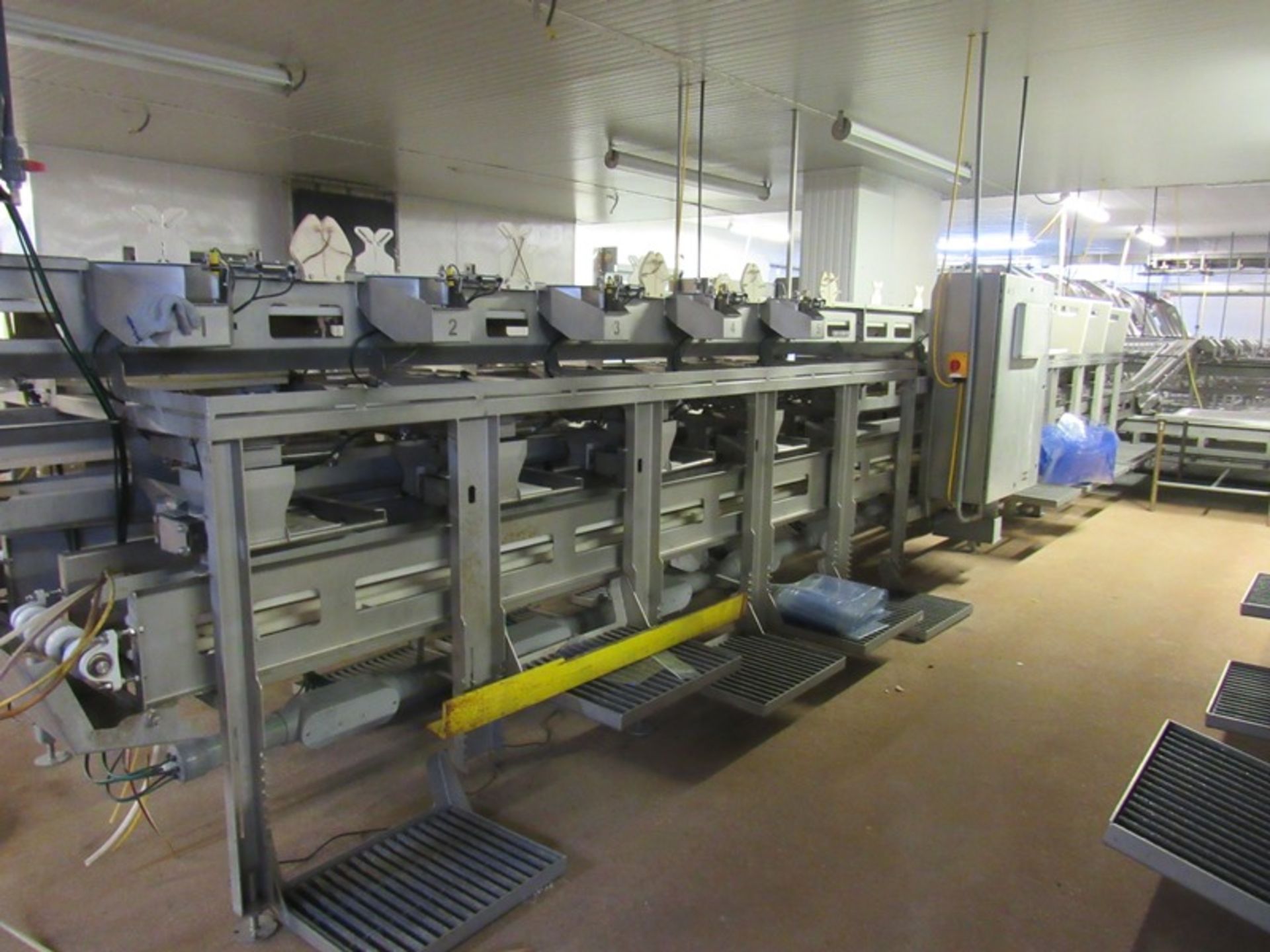 C.A.T. Stainless Steel Grading Line, dual lanes, 10 positions per lane, pneumatic drop chutes, - Image 20 of 22