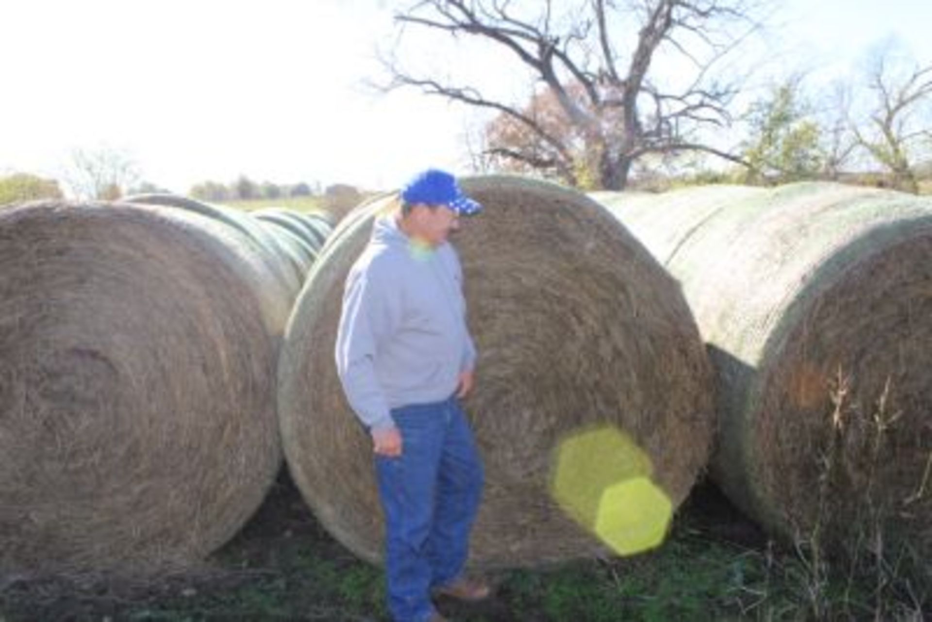 CHOICE LOTS OF 4X6 ROUND BALES OF 2020 MIXED HAY. - Image 3 of 3