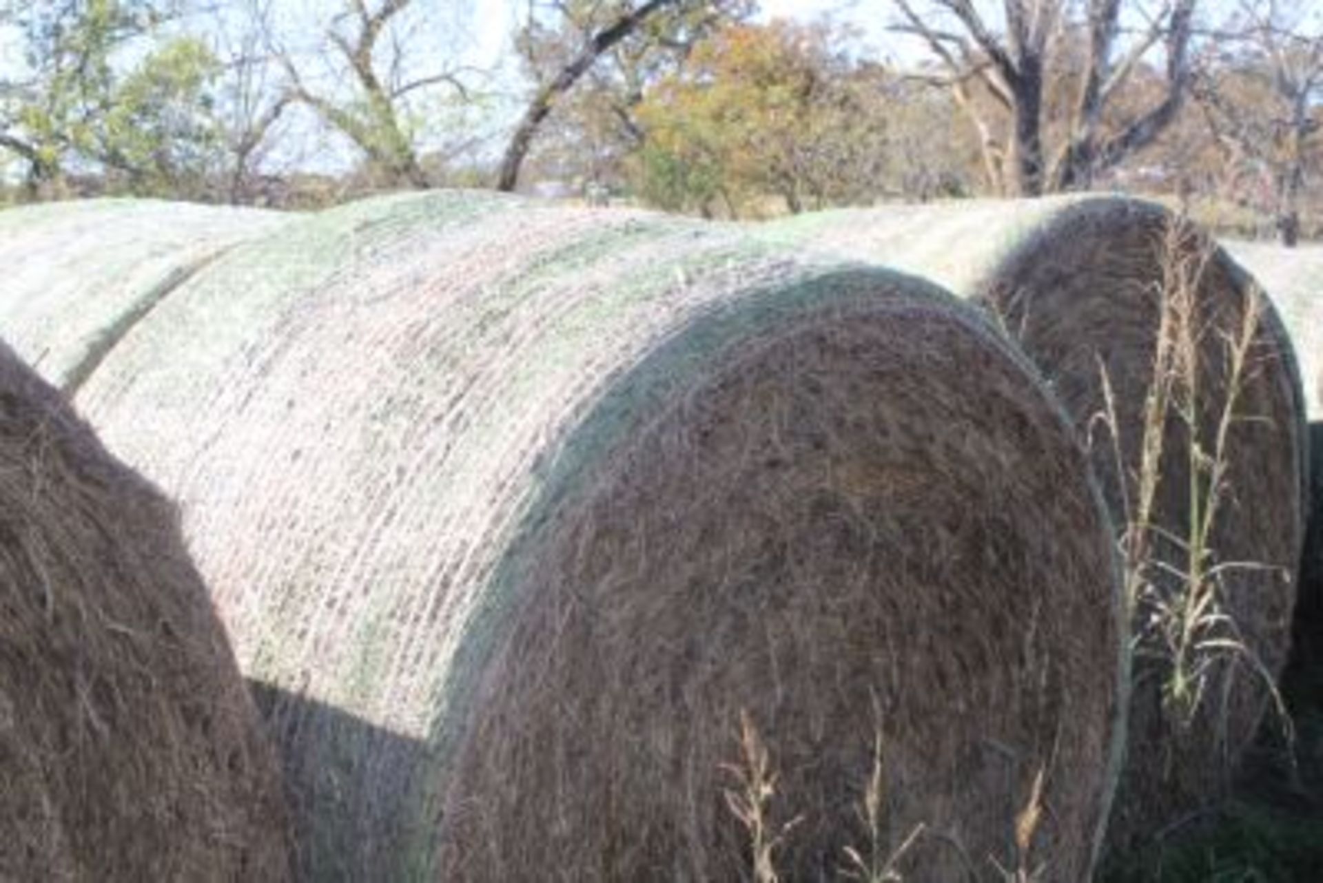 CHOICE LOTS OF 4X6 ROUND BALES OF 2020 MIXED HAY.