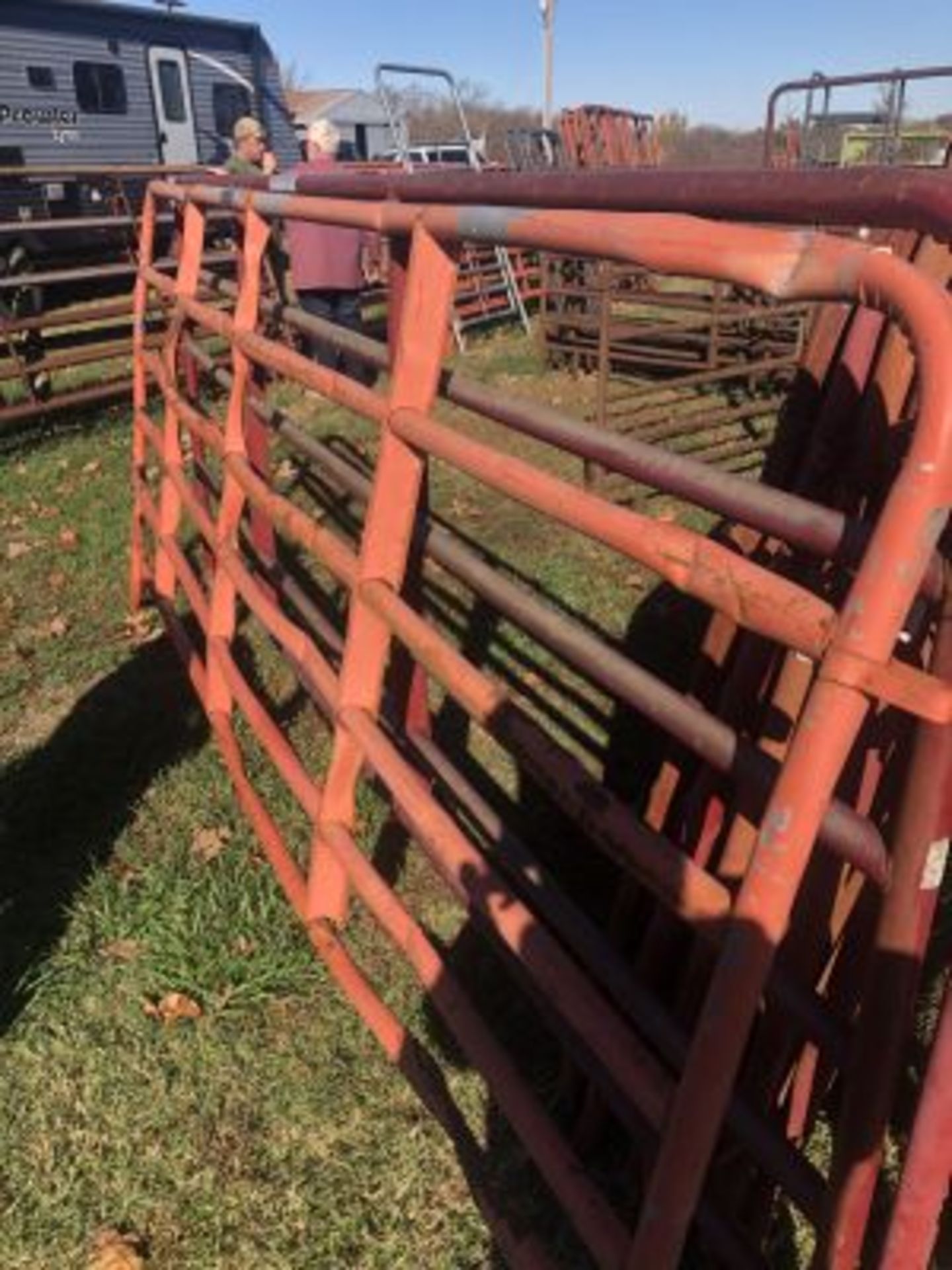 12 BENT CATTLE PANELS