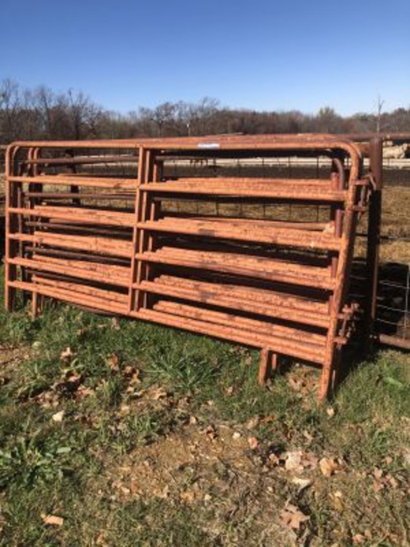 10' CATTLE PANELS