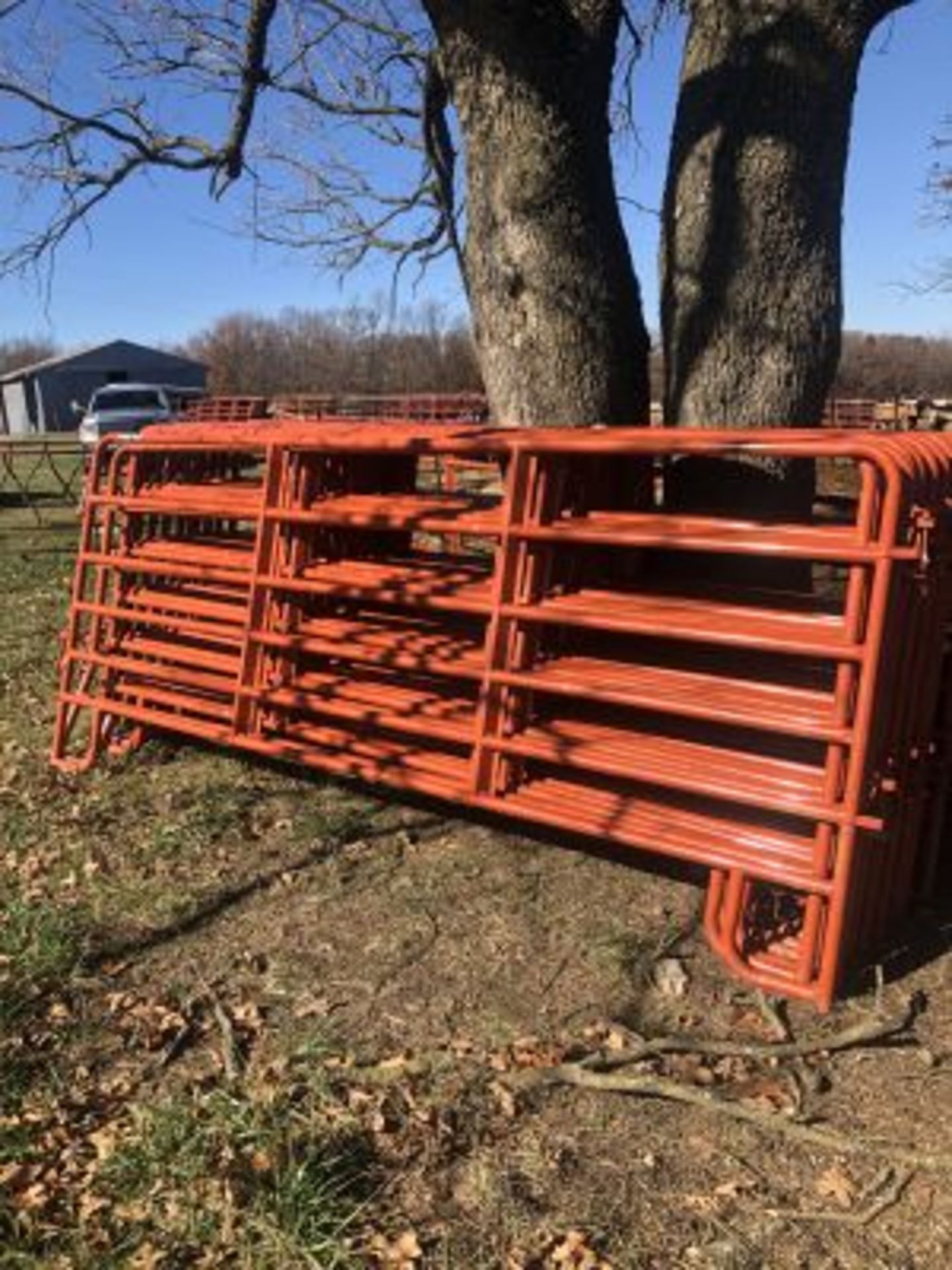 12' CATTLE PANELS