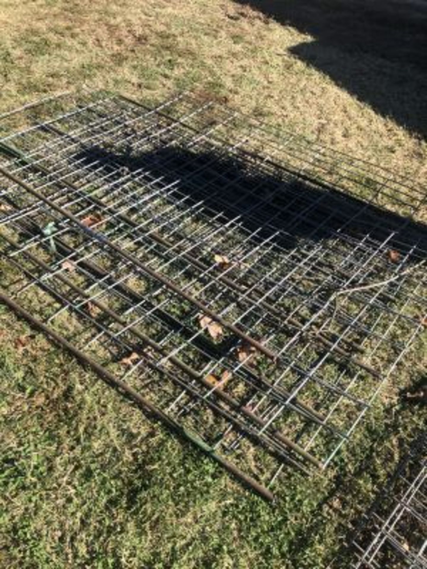 5' WIRE CATTLE PANES