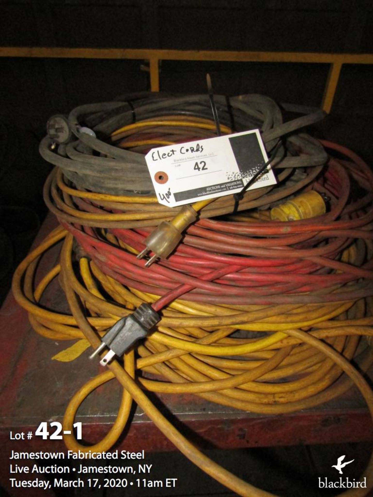 Lot of extesion cords approx. 400' 120v.& 220v. - Image 2 of 2