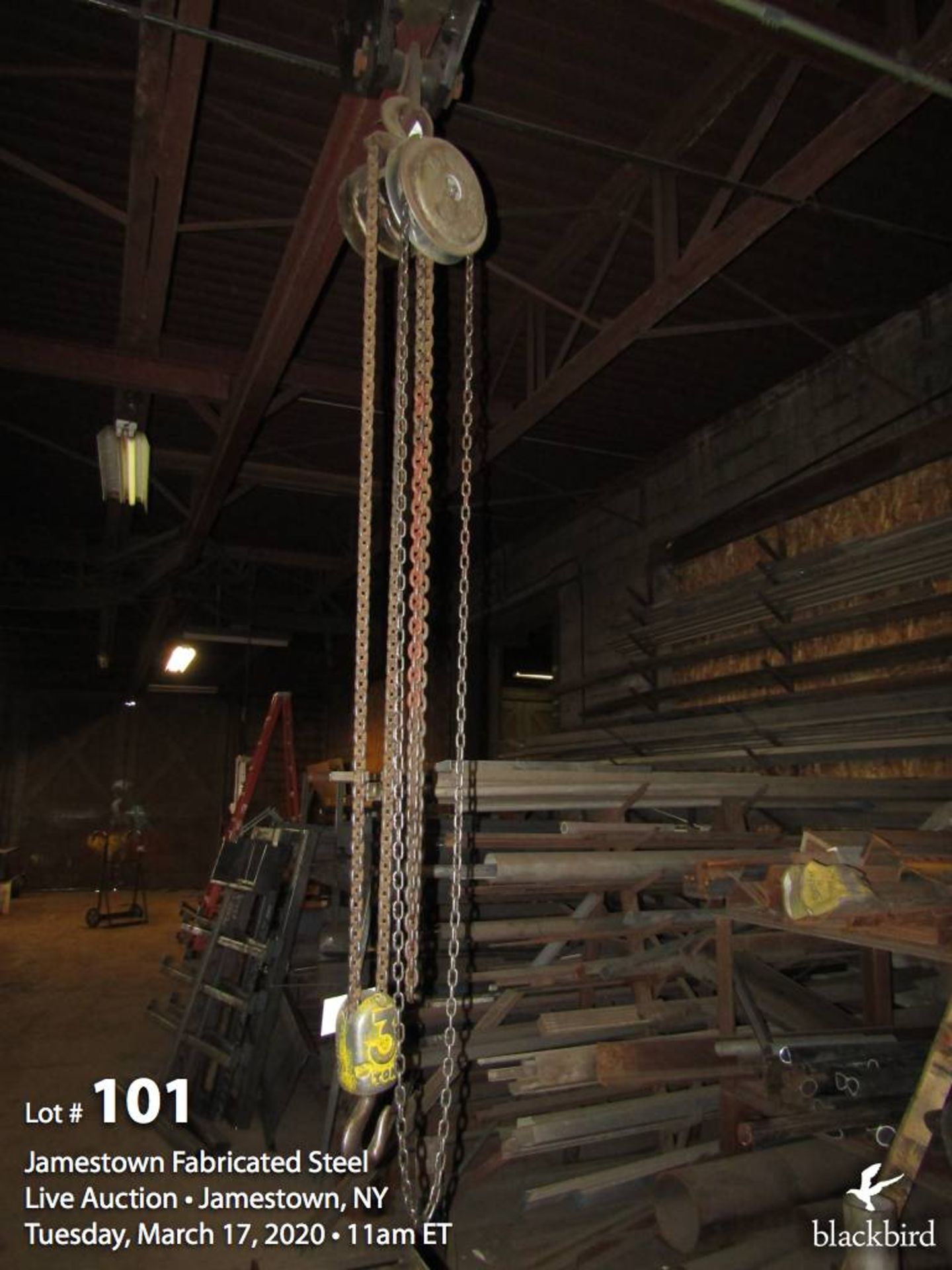 CM 3 ton chain hoist